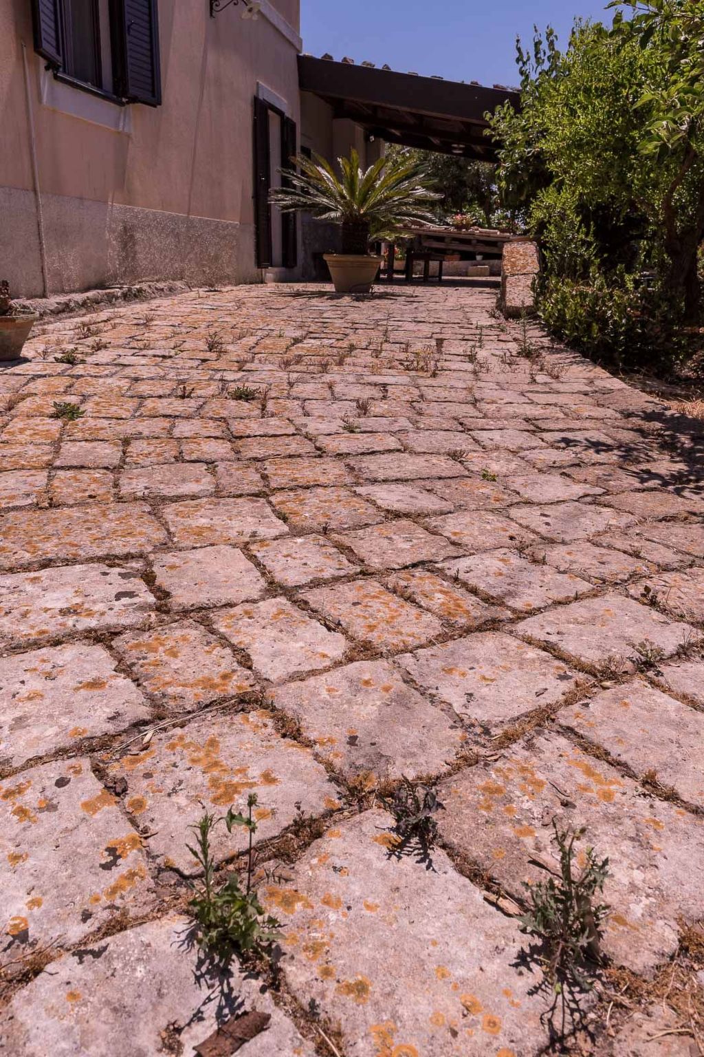 "Villa mit Pool-Binnen