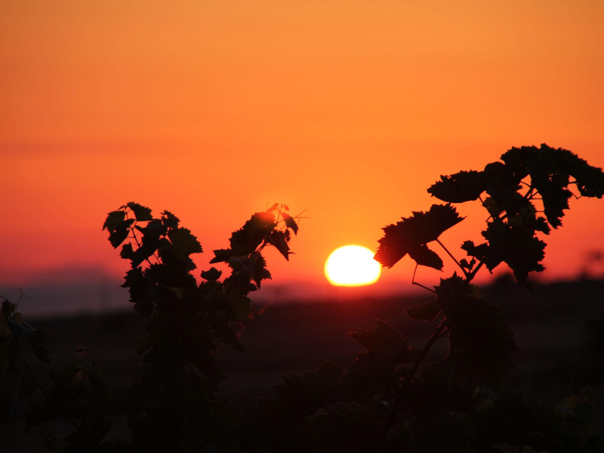 "Villa mit Pool-Binnen
