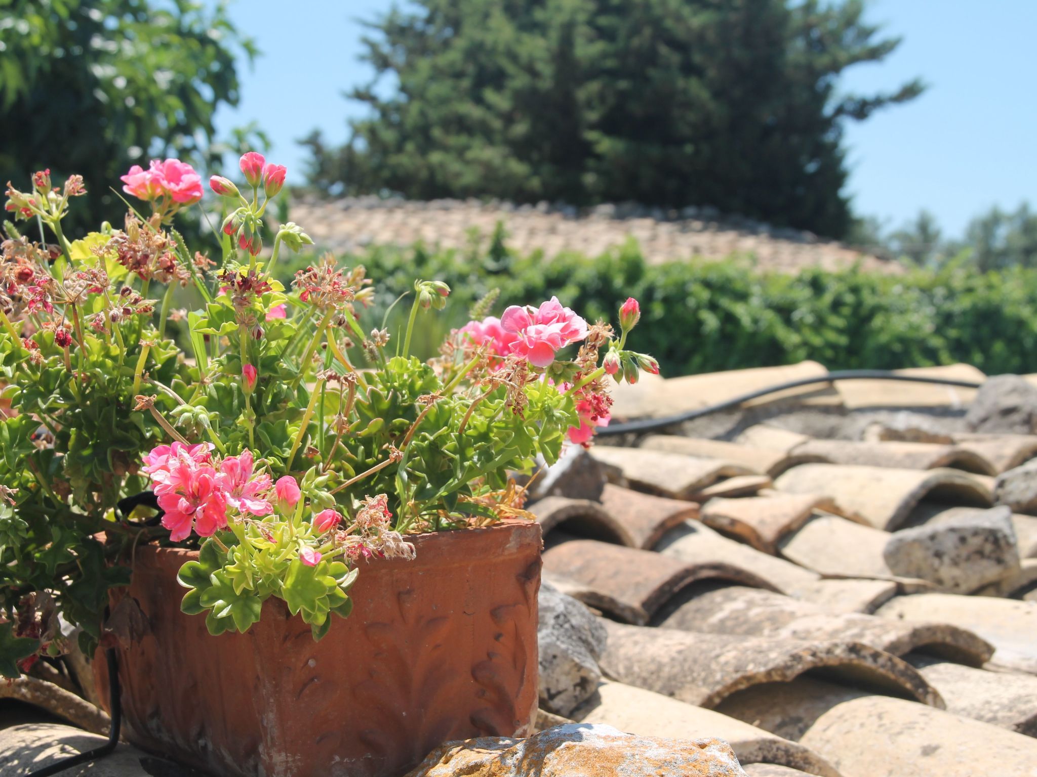 "Villa mit Pool-Binnen