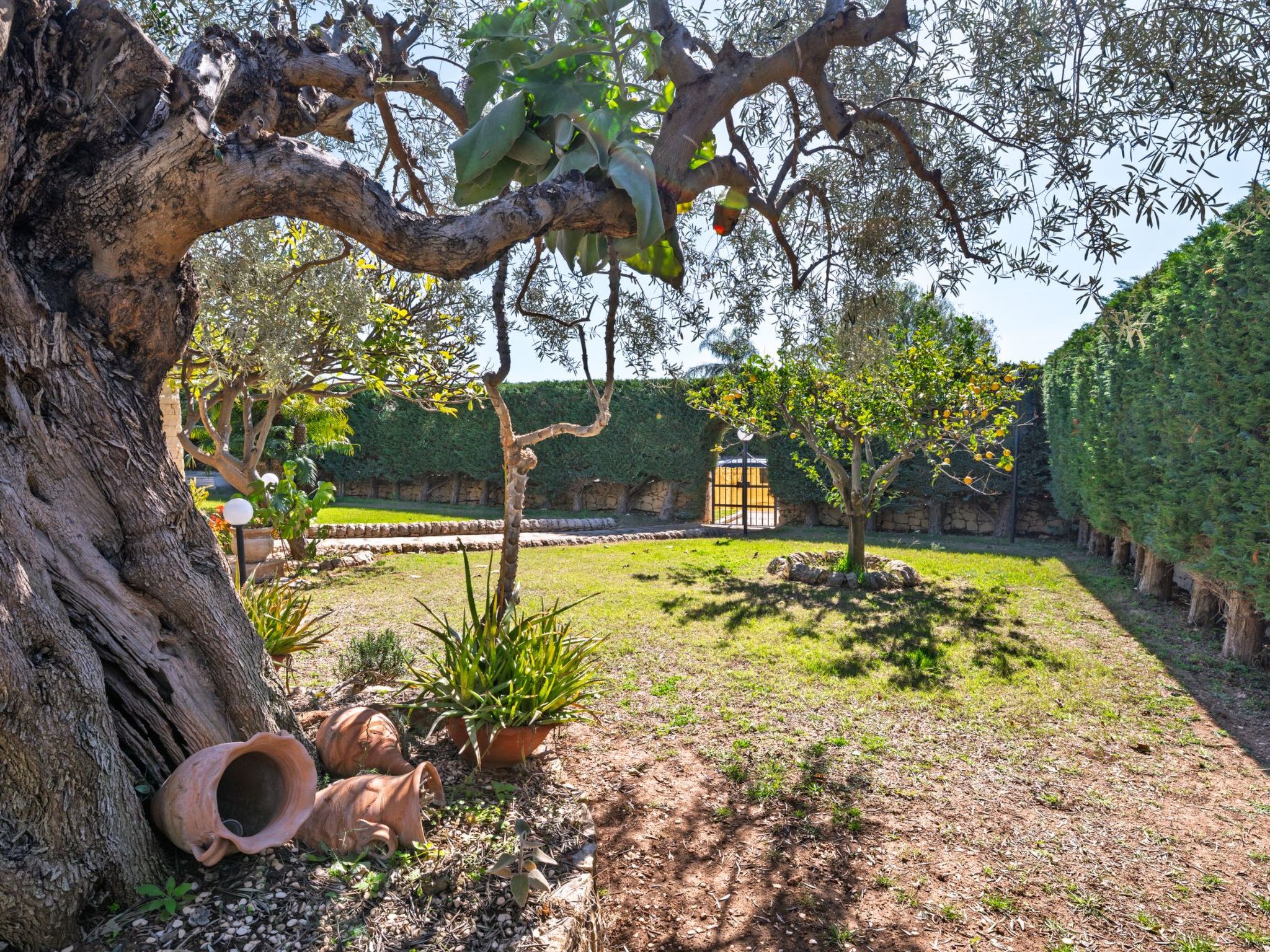 Sterlizia, Villa mit Pool in Meeresnähe-Inside