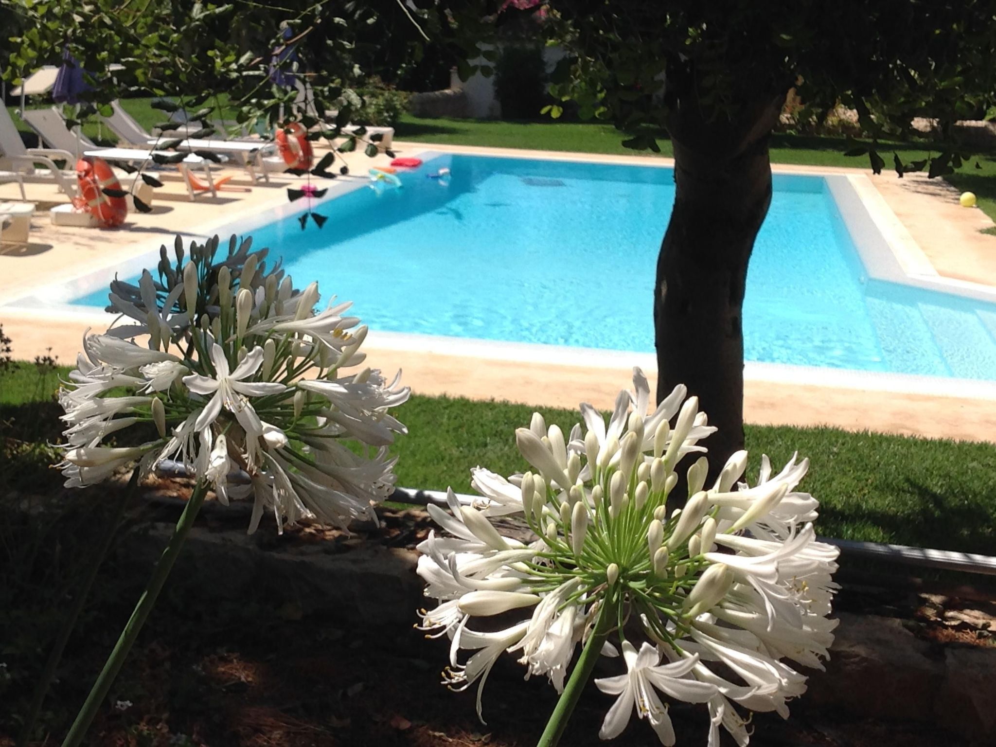 Appartement in Donnalucata mit Großem Garten-Image-tags.info