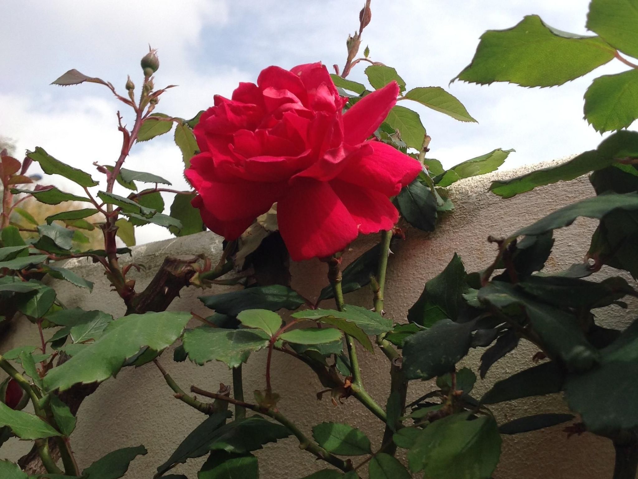 Appartement in Donnalucata mit Großem Garten-Image-tags.info