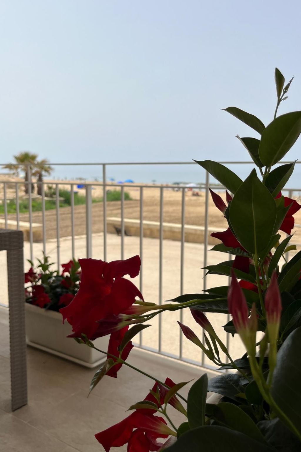 Wohnung am Meer-Image-tags.info