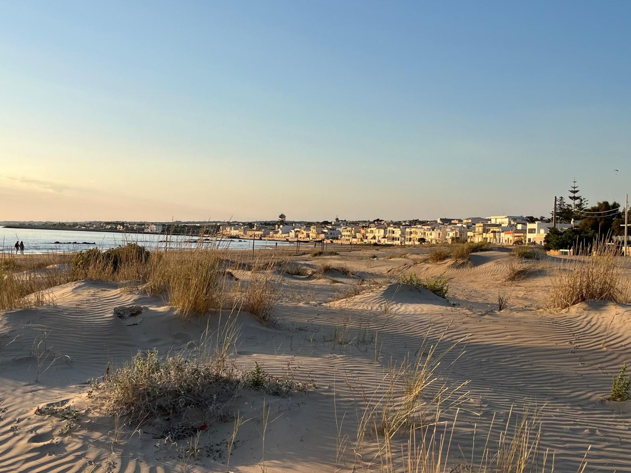 "Il giardino damare"-Image-tags.info