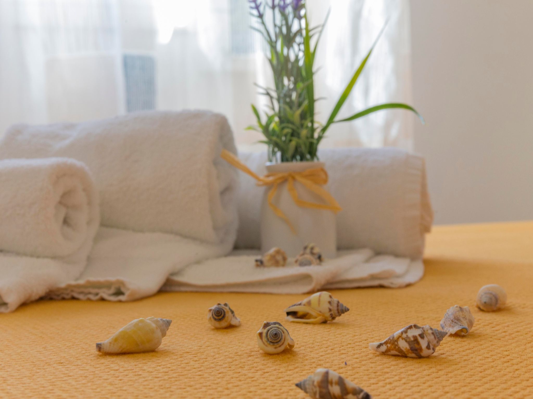 'Villetta-Image-tags.info