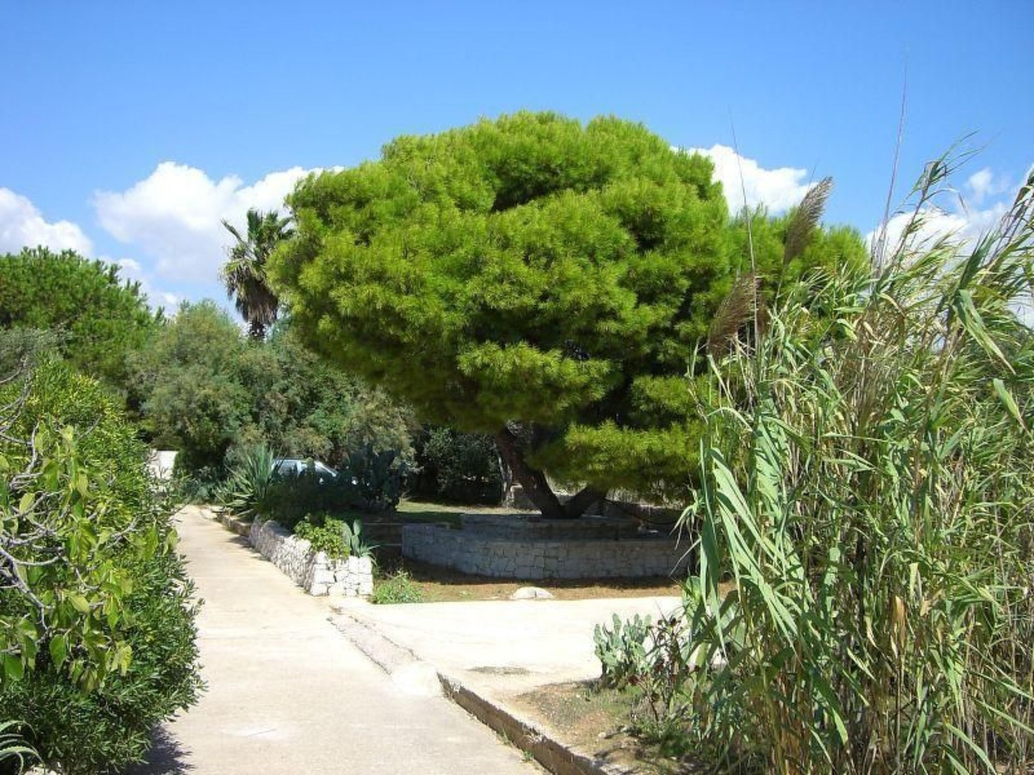 Villa Matilde: Kleine Ferienwohnung mit Meerblick-Binnen