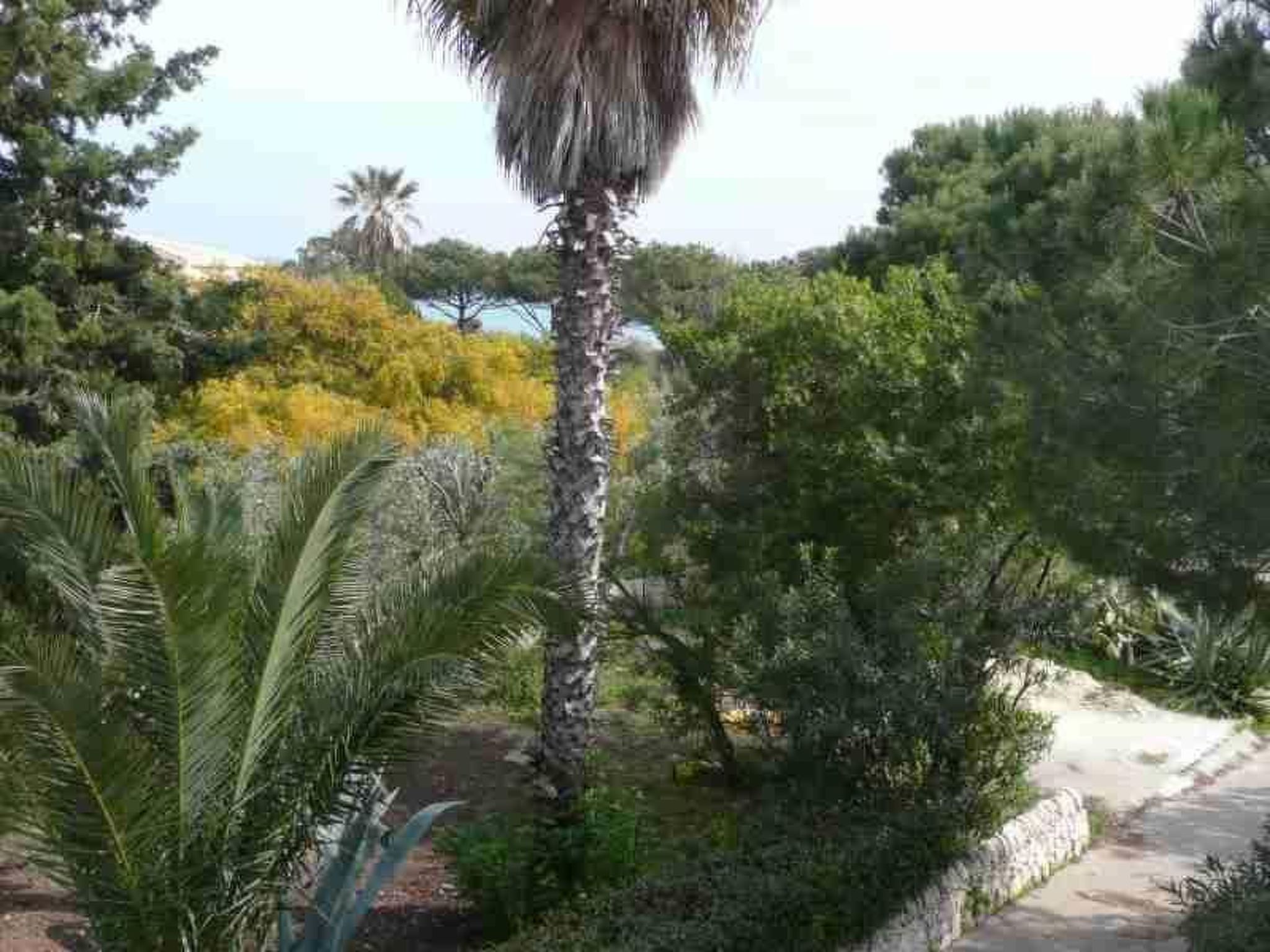 Villa Matilde: Kleine Ferienwohnung mit Meerblick-Binnen