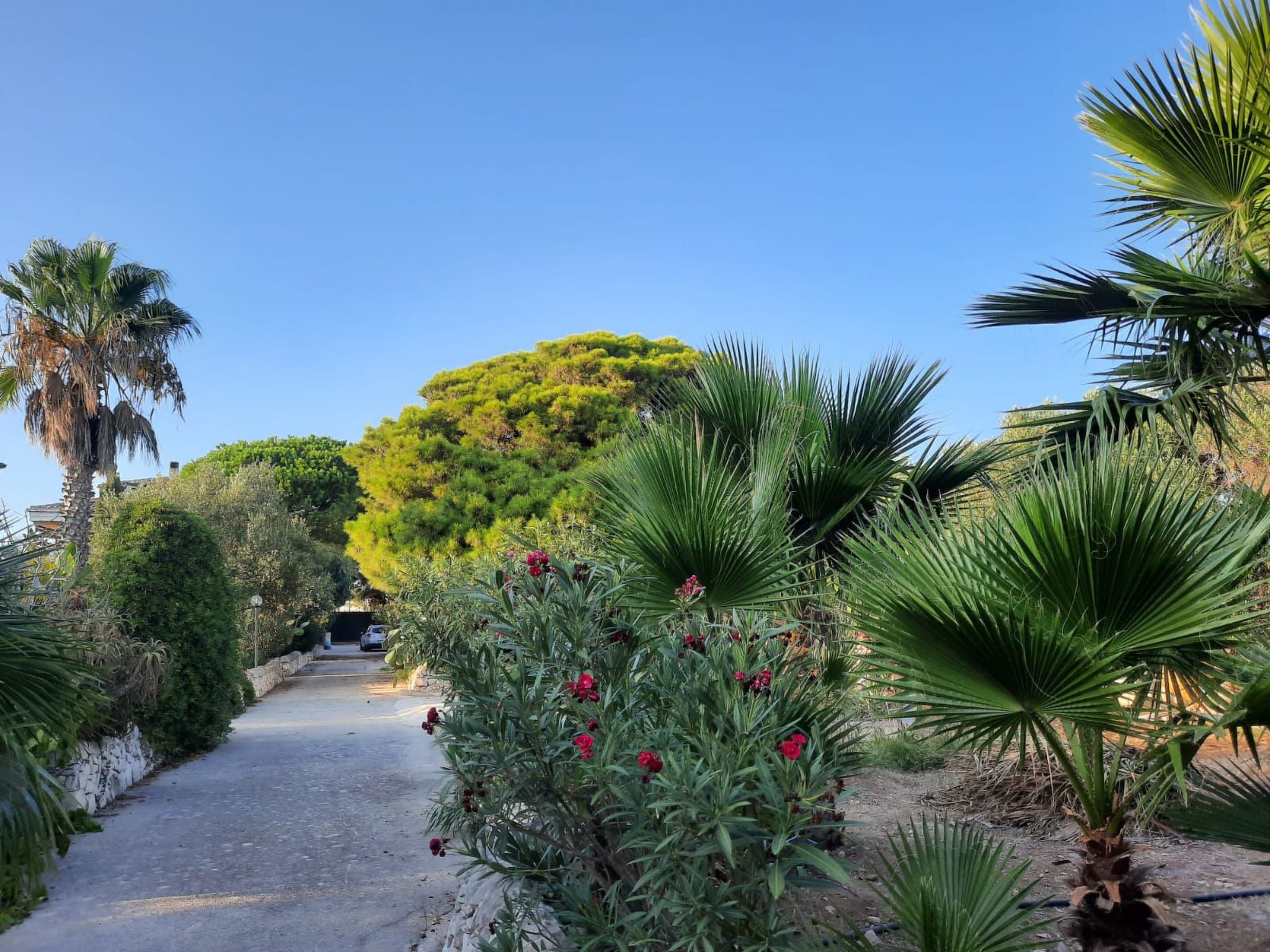 Villa Matilde: Kleine Ferienwohnung mit Meerblick-Binnen