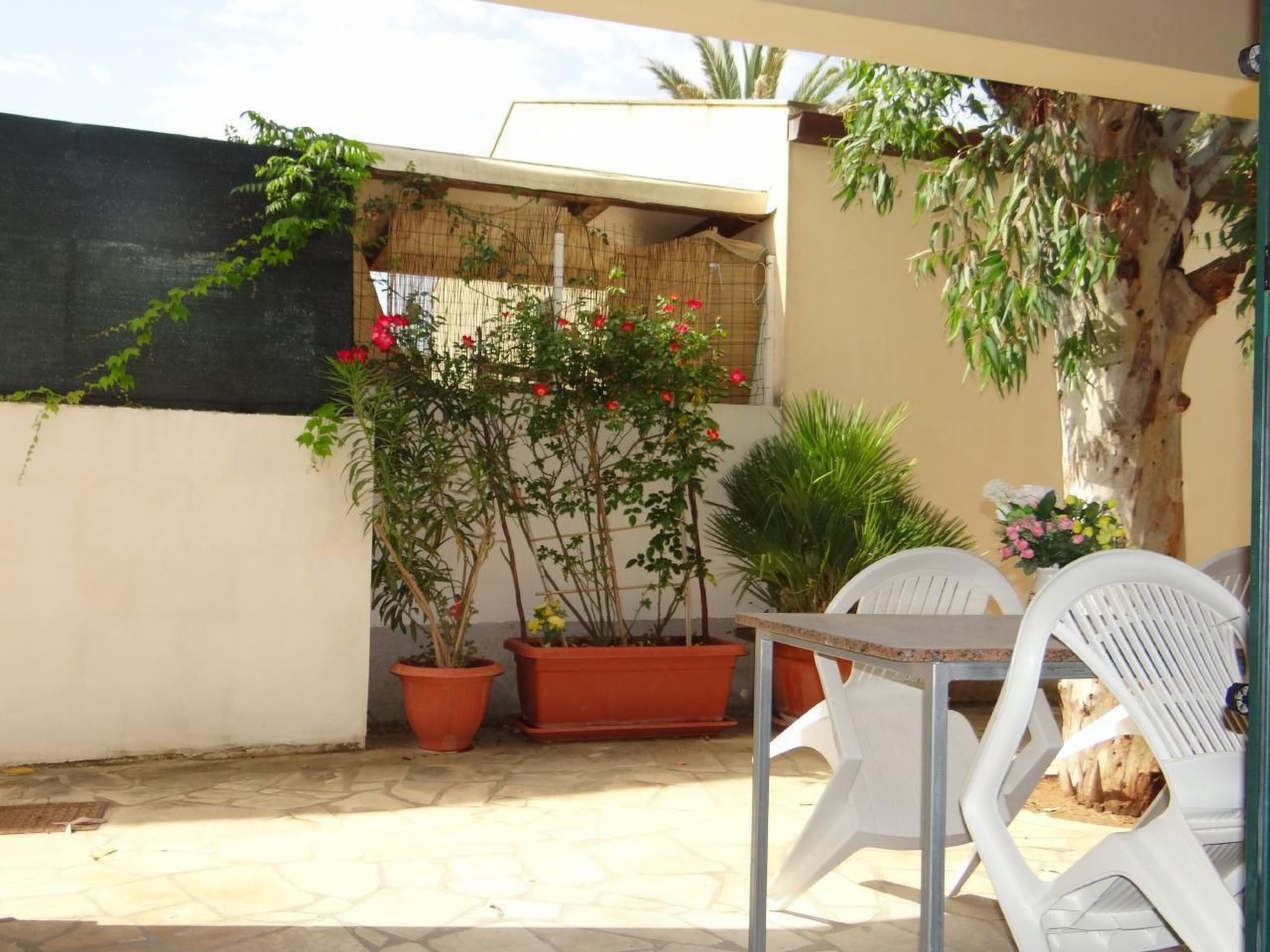 Schöner zentraler Bungalow direkt am Sandstrand auf Sizilien-Inside