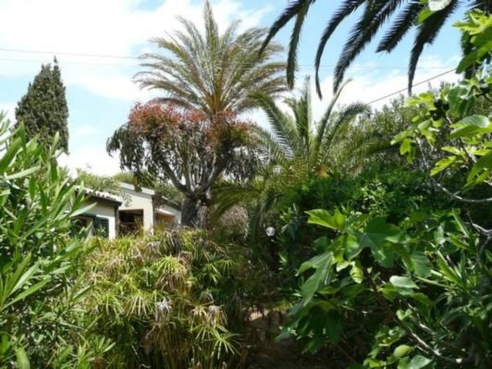 Schöner zentraler Bungalow direkt am Sandstrand auf Sizilien-Binnen