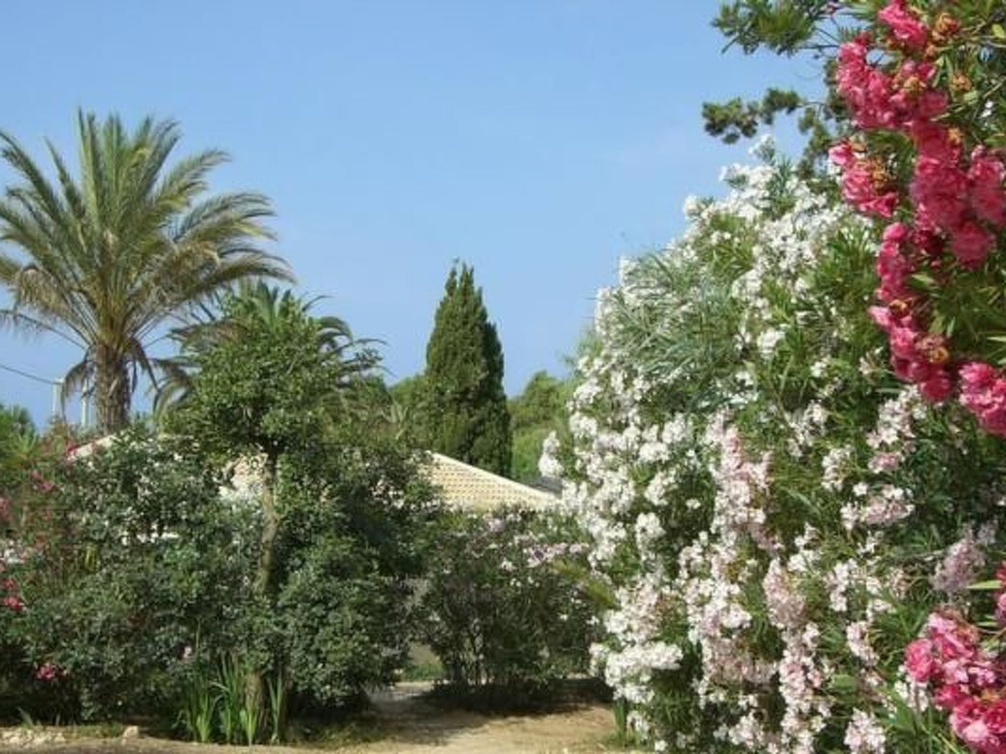 Schöner zentraler Bungalow direkt am Sandstrand auf Sizilien-Dedans