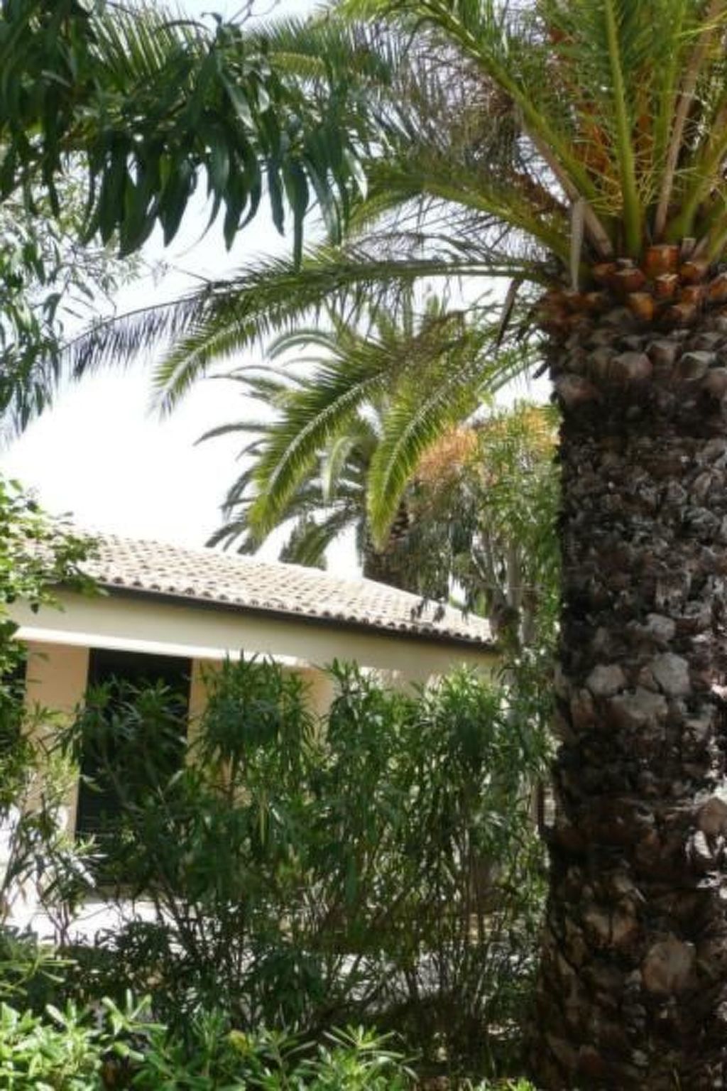 Schöner zentraler Bungalow direkt am Sandstrand auf Sizilien-Dedans