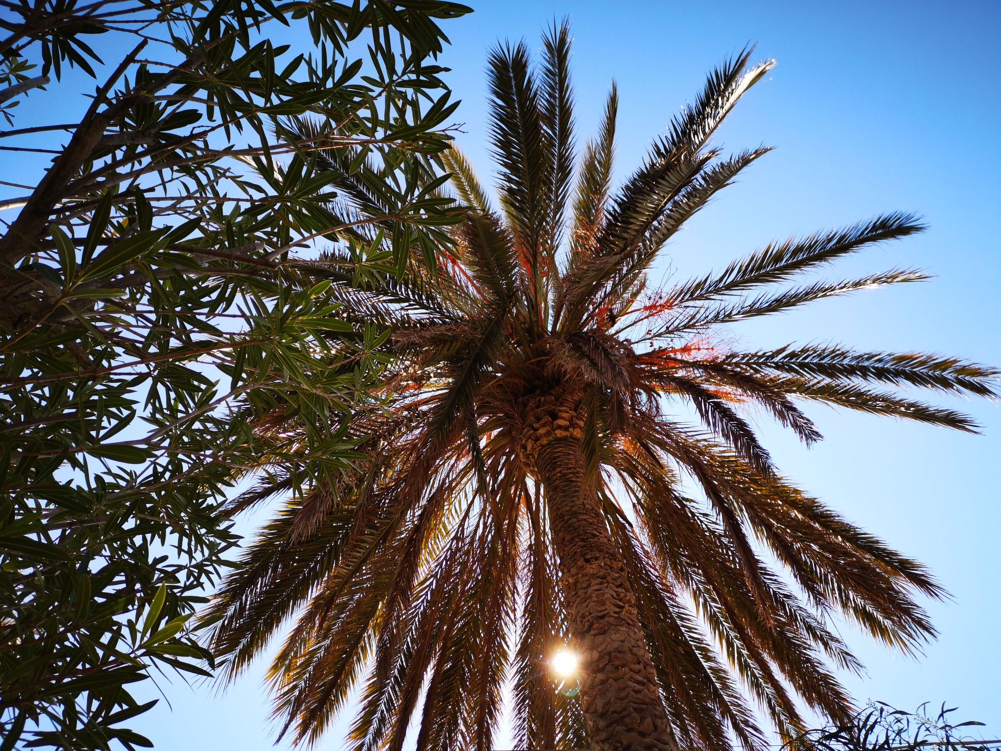 Schöner zentraler Bungalow direkt am Sandstrand auf Sizilien-Dedans