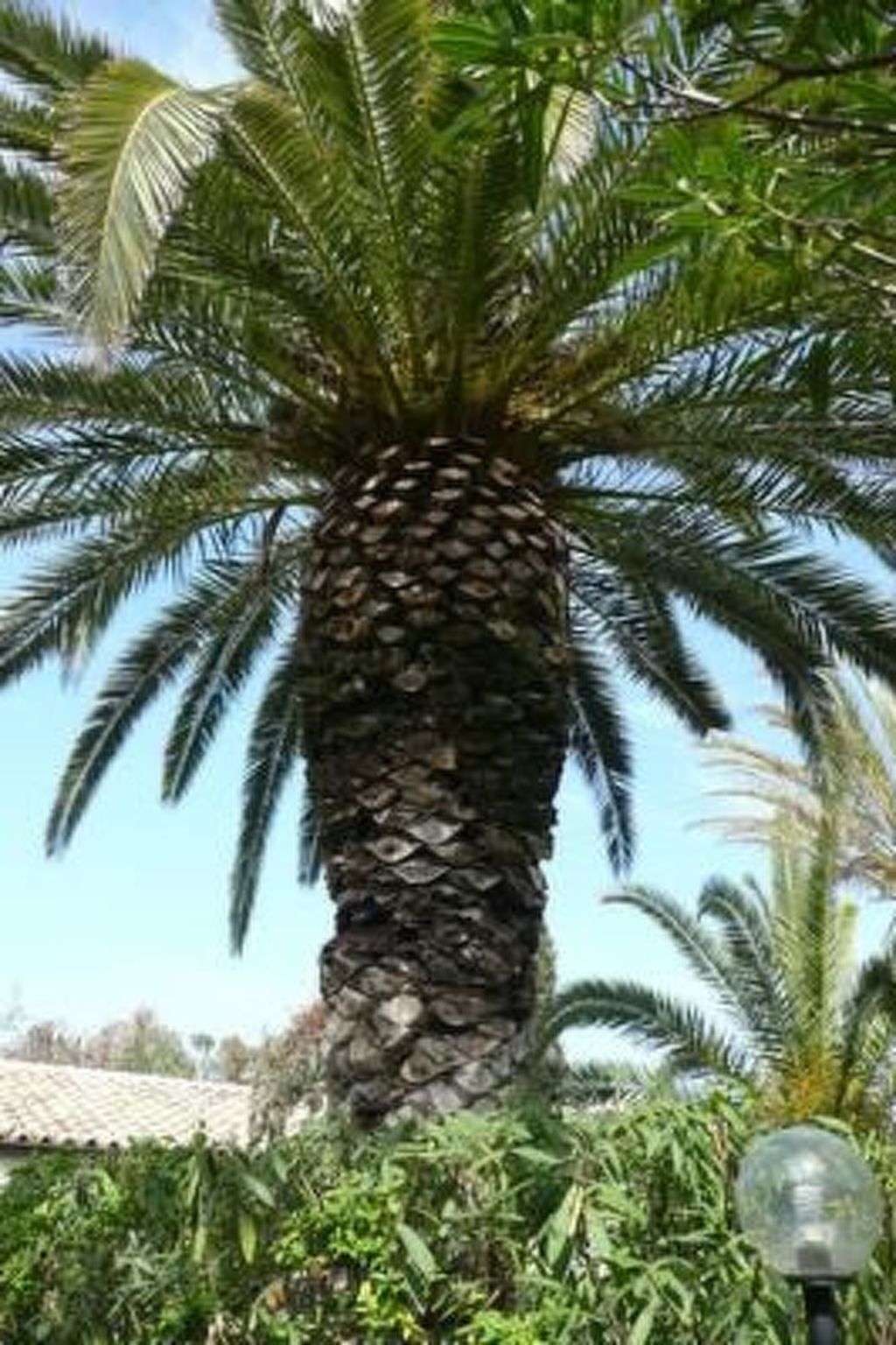 Schöner zentraler Bungalow direkt am Sandstrand auf Sizilien-Dedans