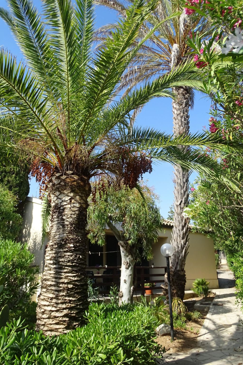 Schöner zentraler Bungalow direkt am Sandstrand auf Sizilien-Binnen