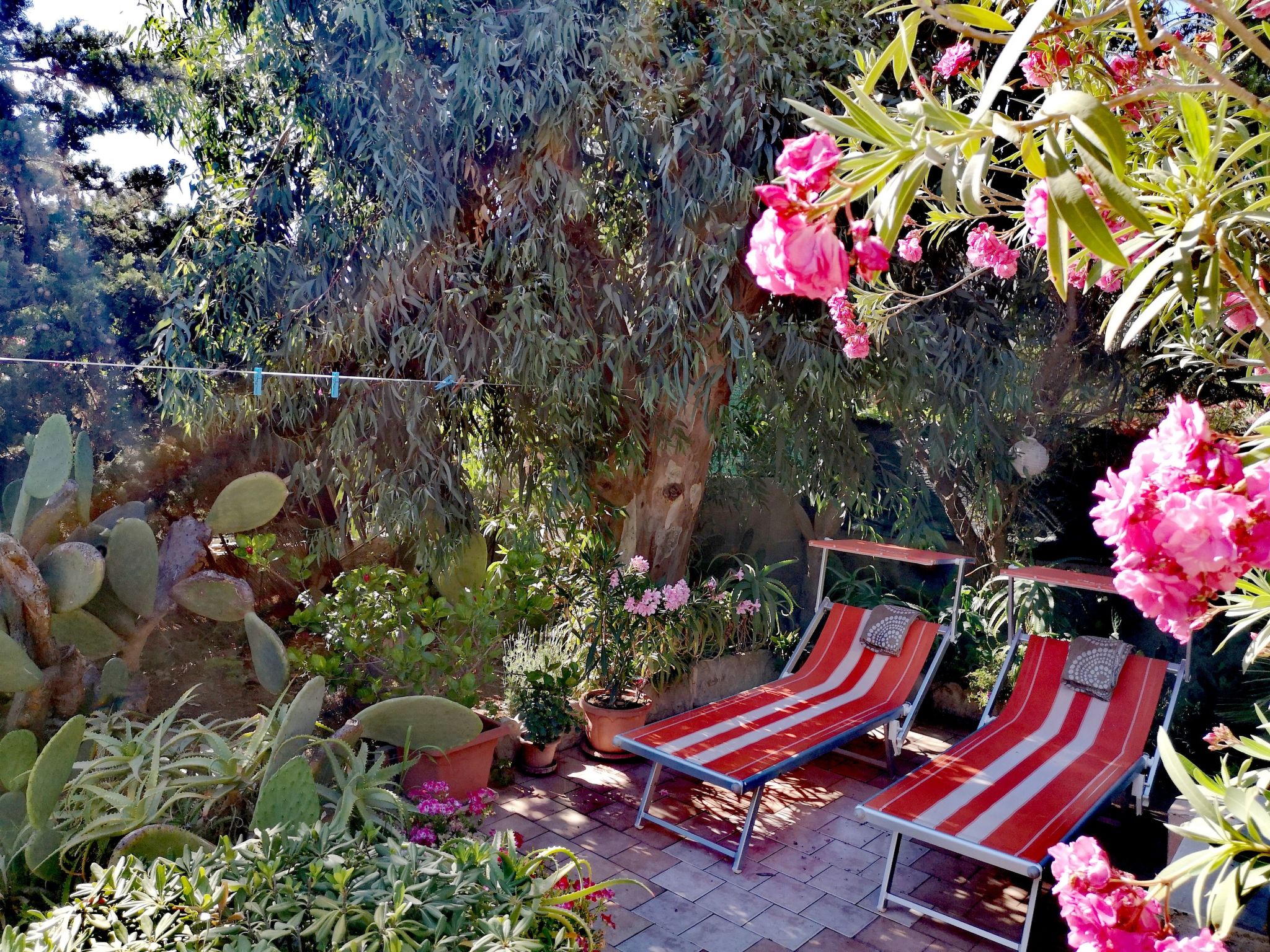 Kleines ruhiges Ferienhaus direkt am Meer-Binnen