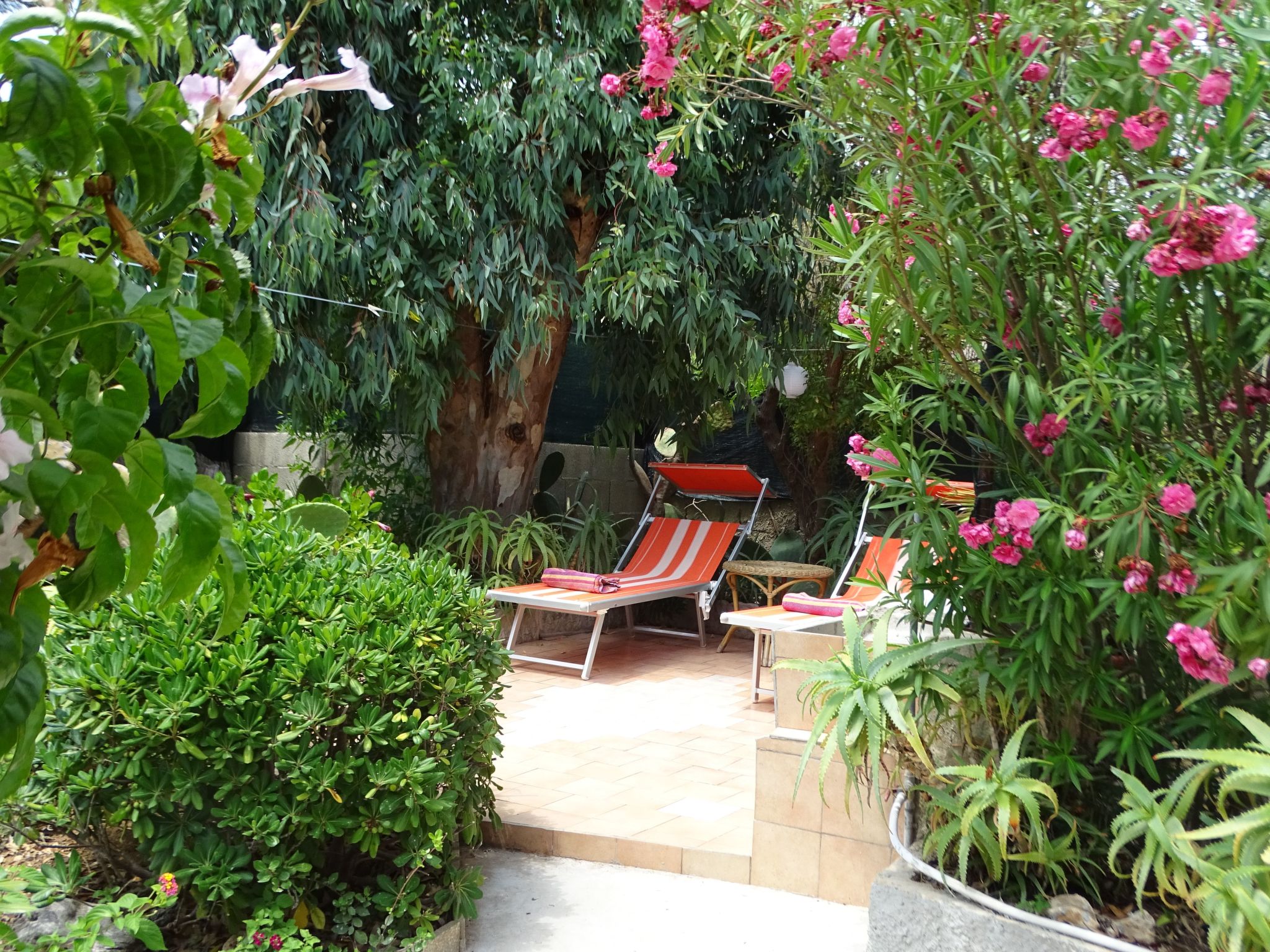 Kleines ruhiges Ferienhaus direkt am Meer-Binnen