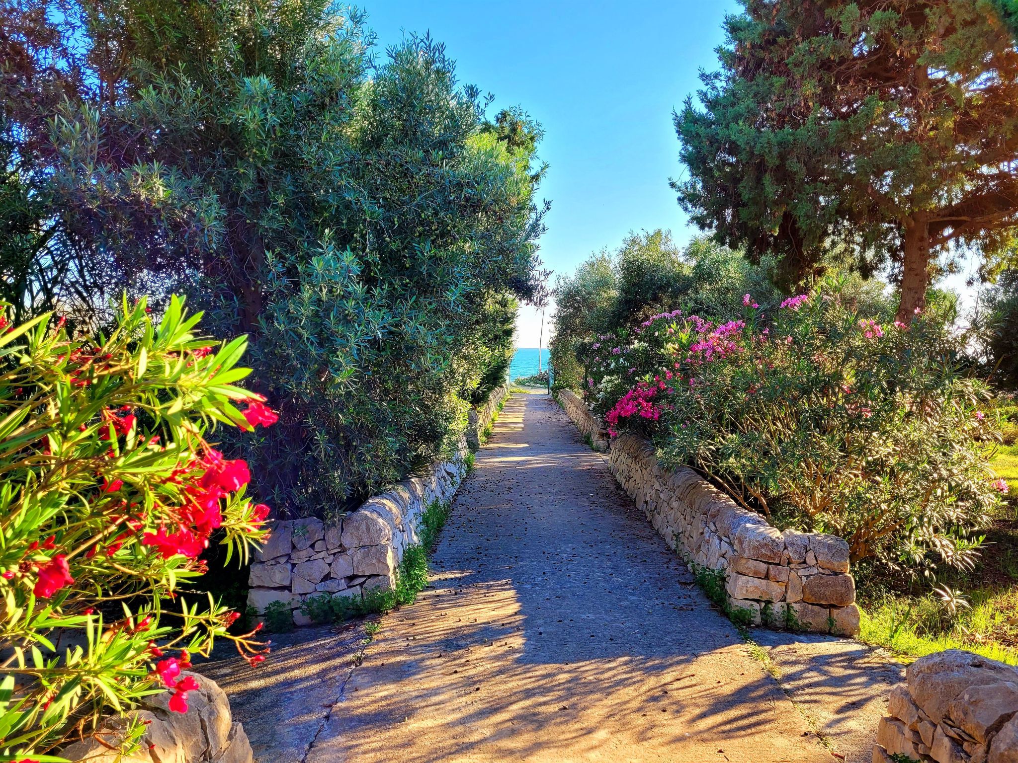 Kleines ruhiges Ferienhaus direkt am Meer-Binnen