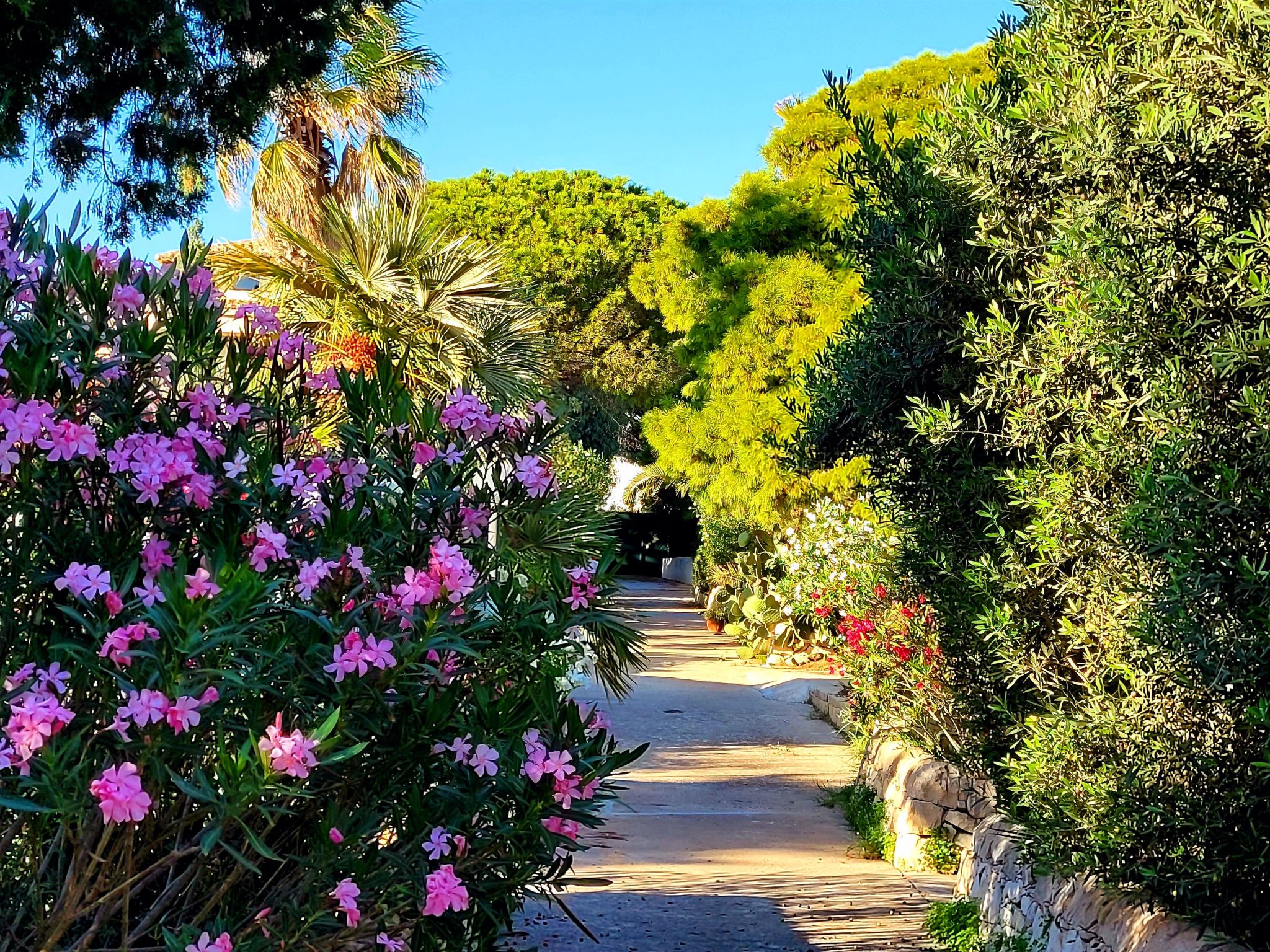 Kleines ruhiges Ferienhaus direkt am Meer-Binnen
