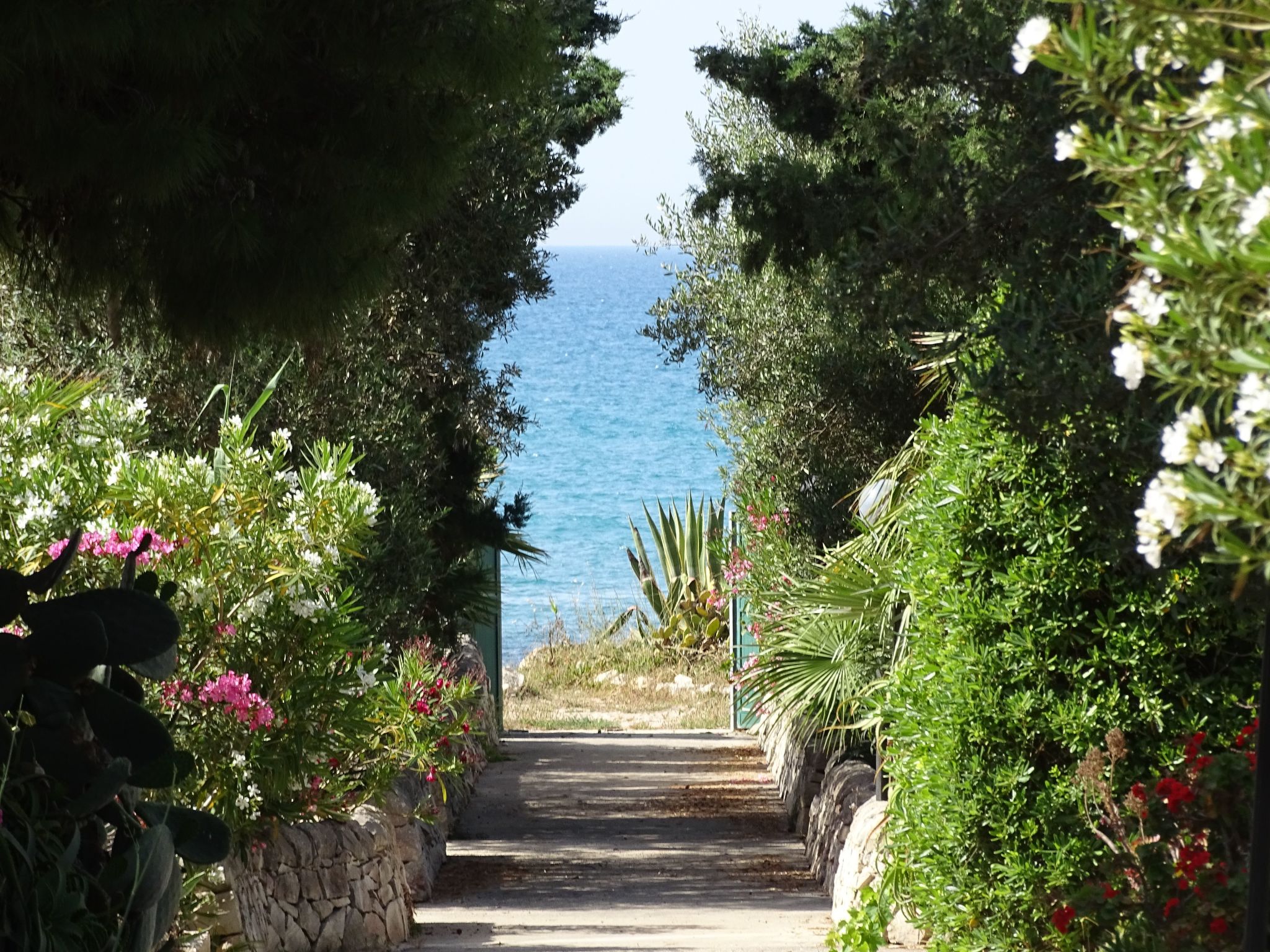 Kleines ruhiges Ferienhaus direkt am Meer-Binnen