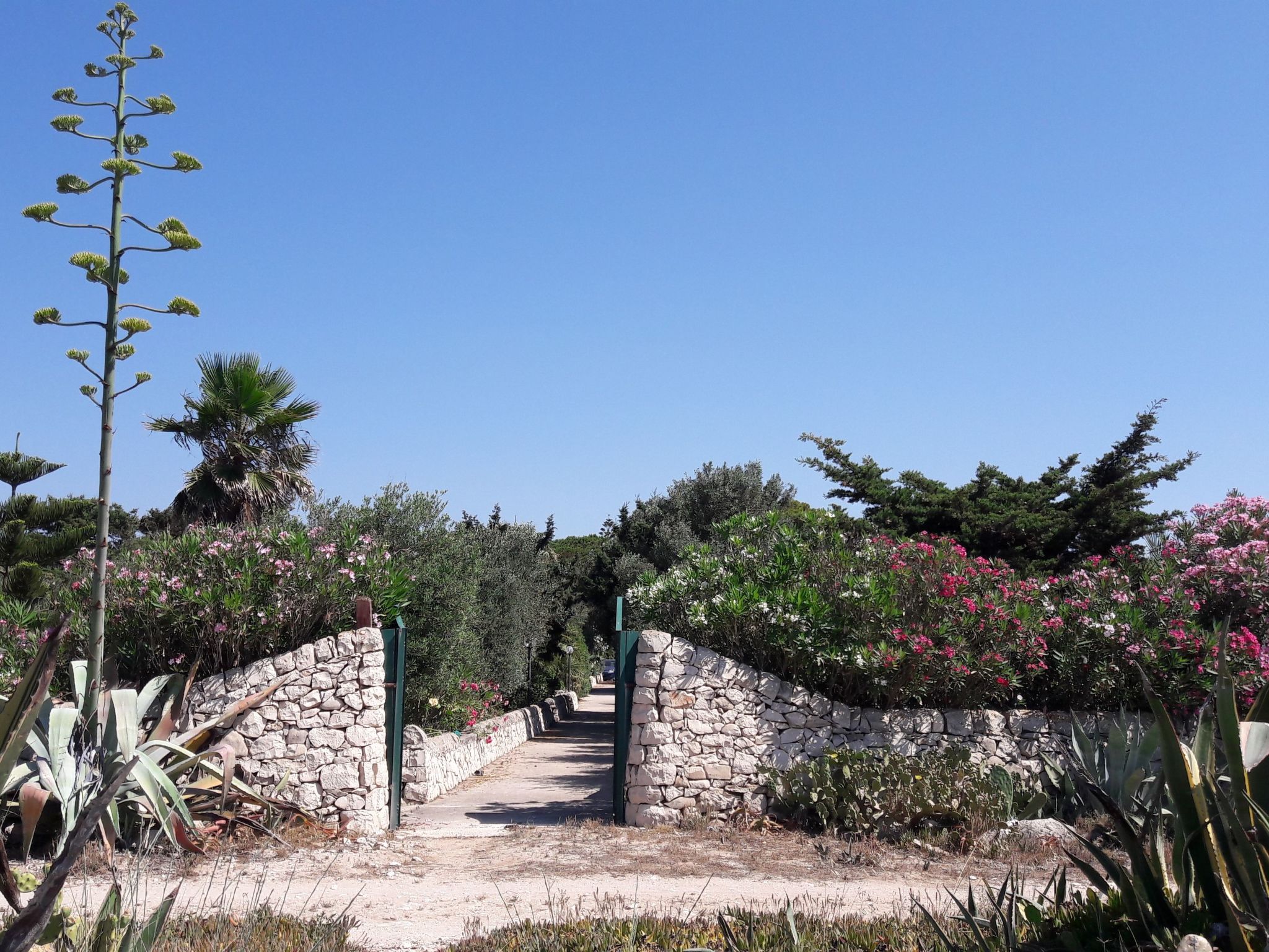 Kleines ruhiges Ferienhaus direkt am Meer-Binnen
