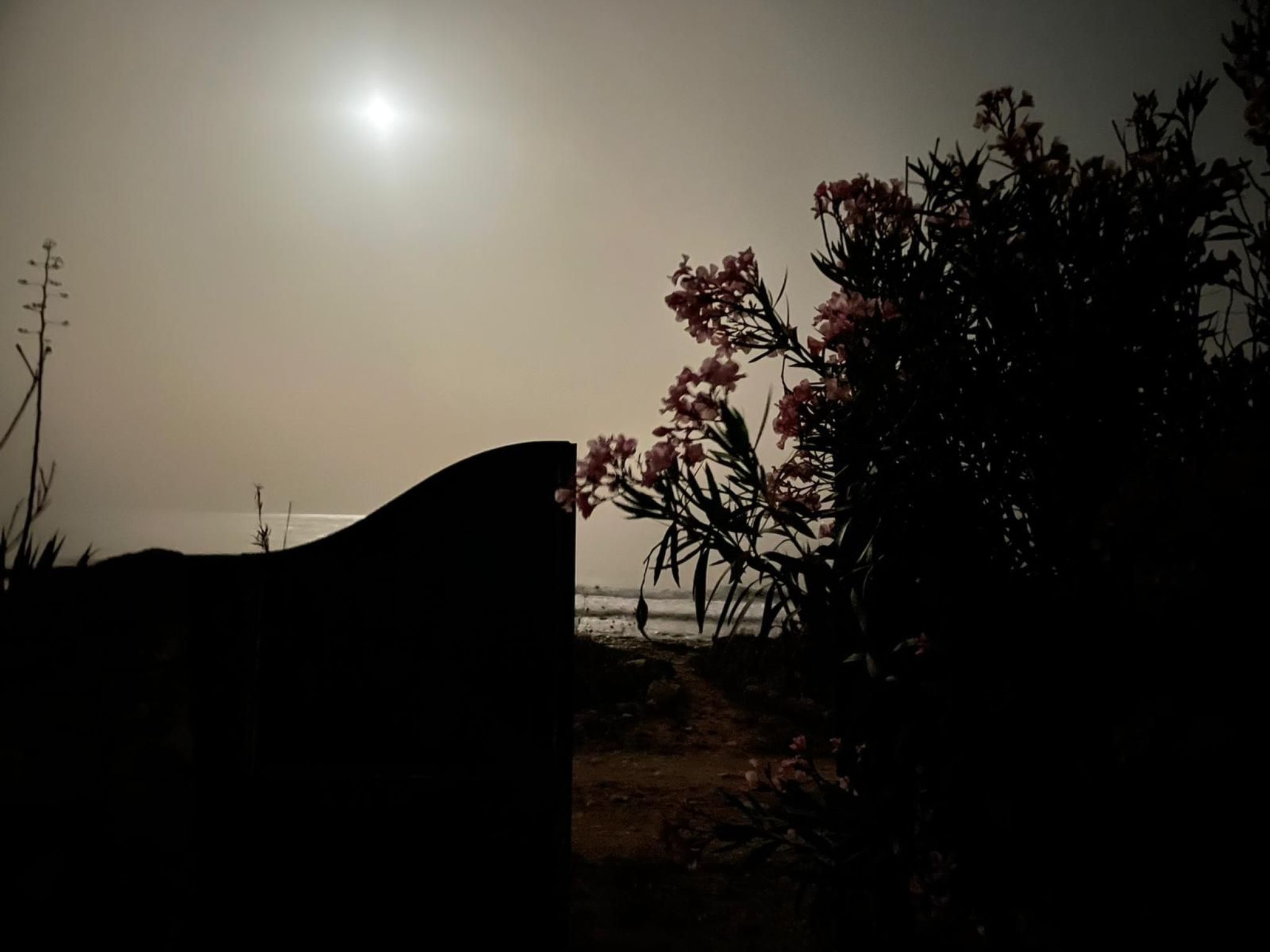 Kleines ruhiges Ferienhaus direkt am Meer-Binnen