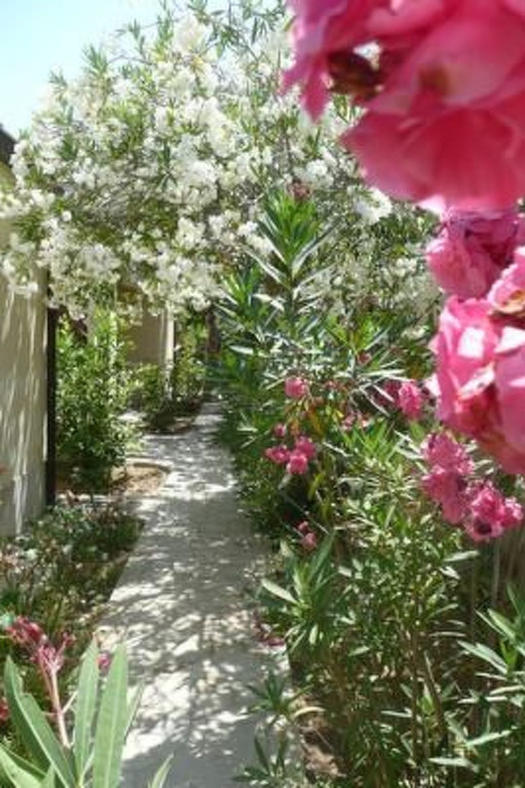 Schöner zentraler Bungalow direkt am Sandstrand auf Sizilien-Binnen