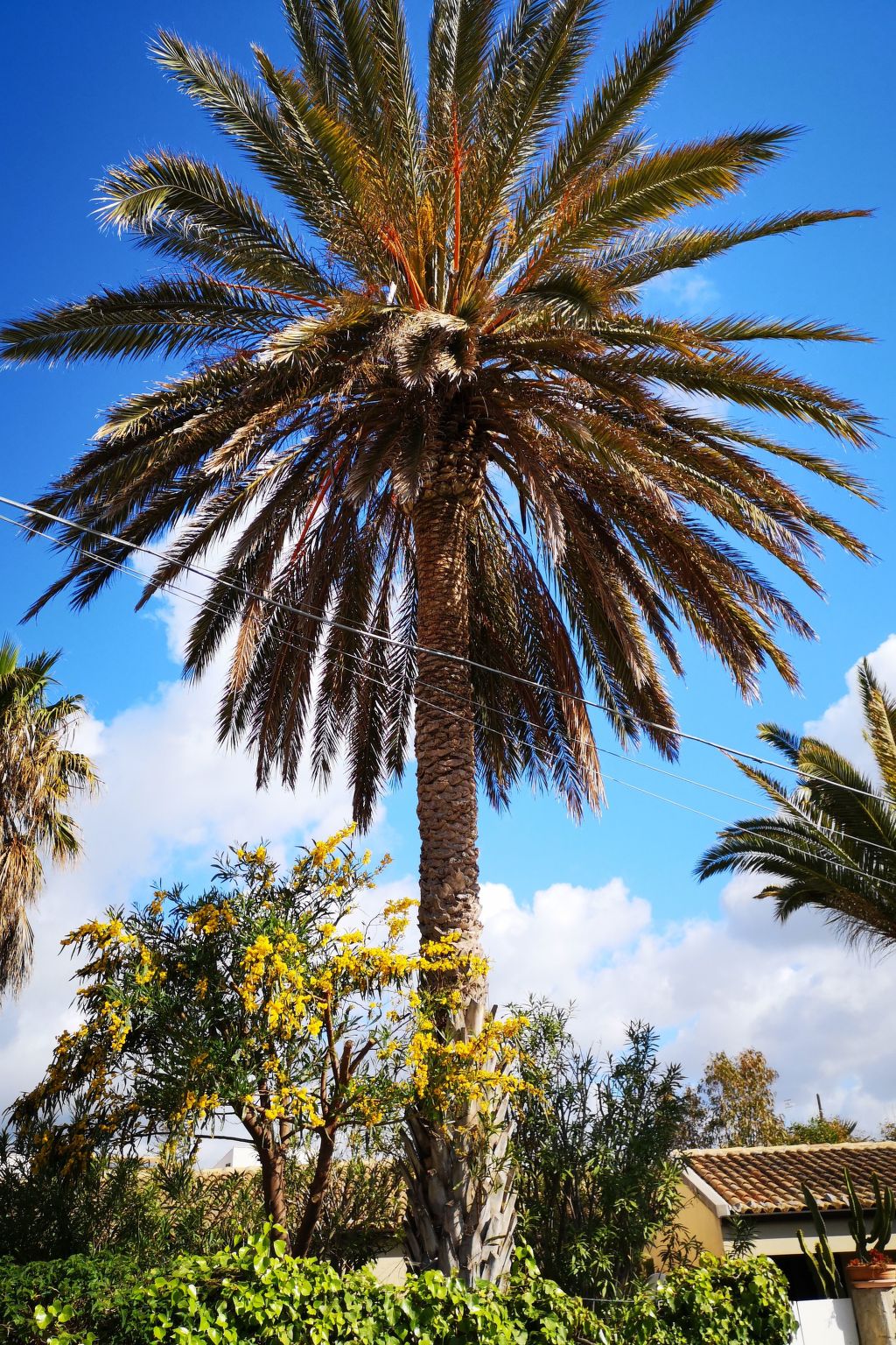 Schöner Bungalow direkt am Sandstrand auf Sizilien-Binnen