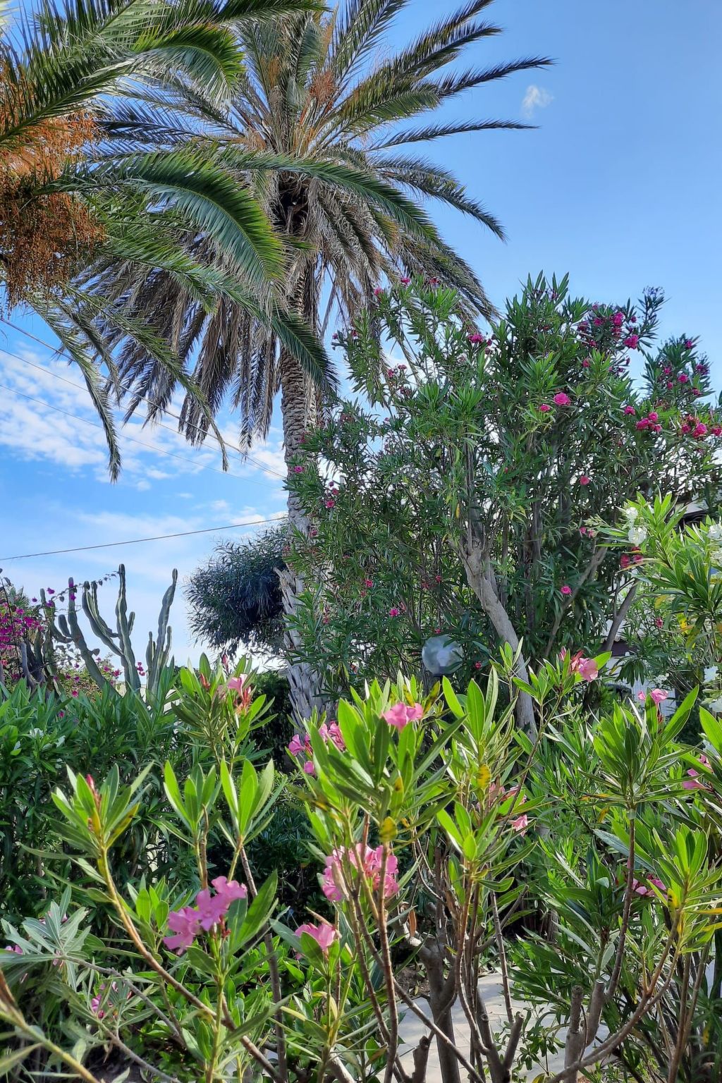 Schöner Bungalow direkt am Sandstrand auf Sizilien-Binnen