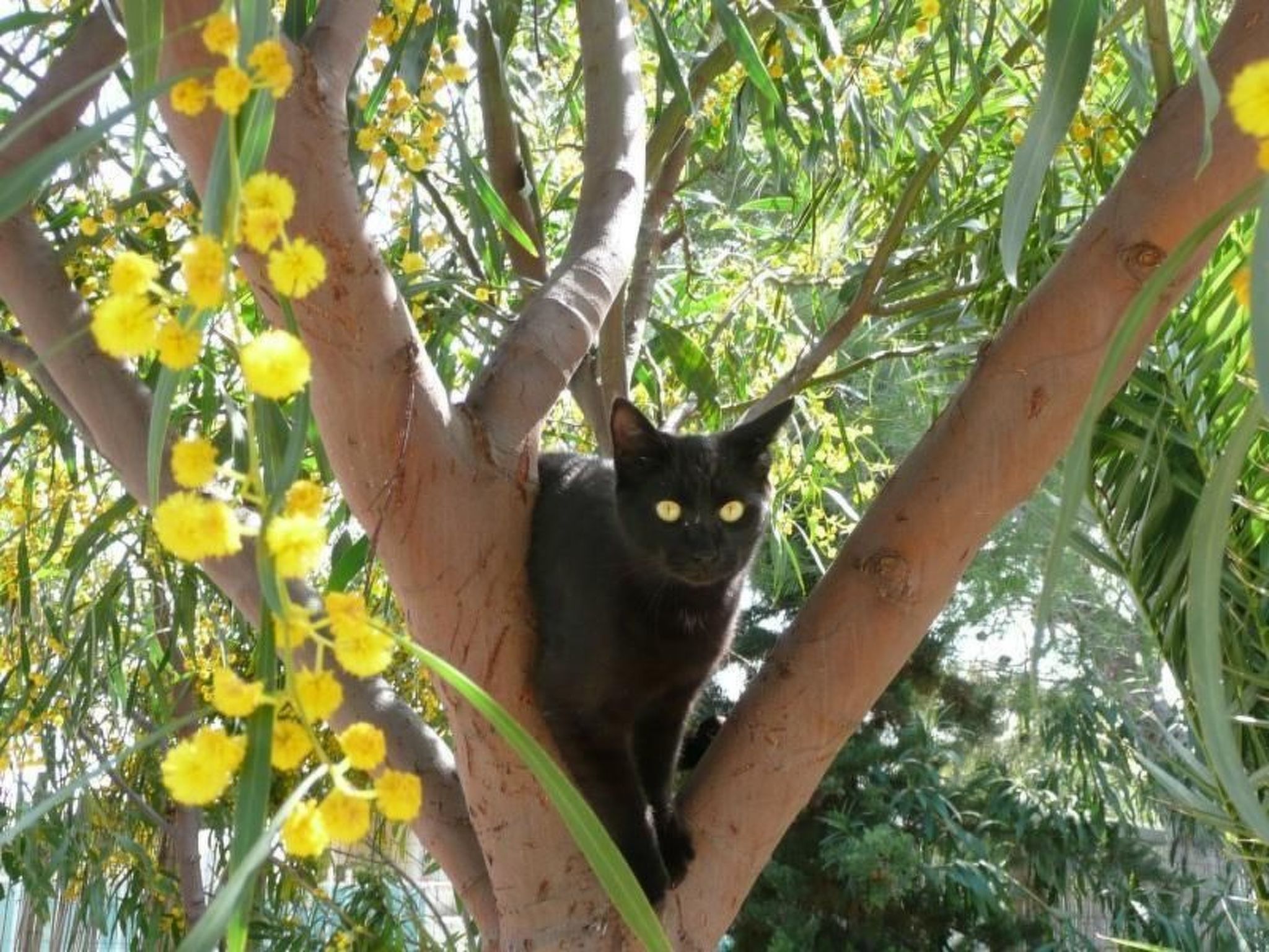Schöner Bungalow direkt am Sandstrand auf Sizilien-Binnen