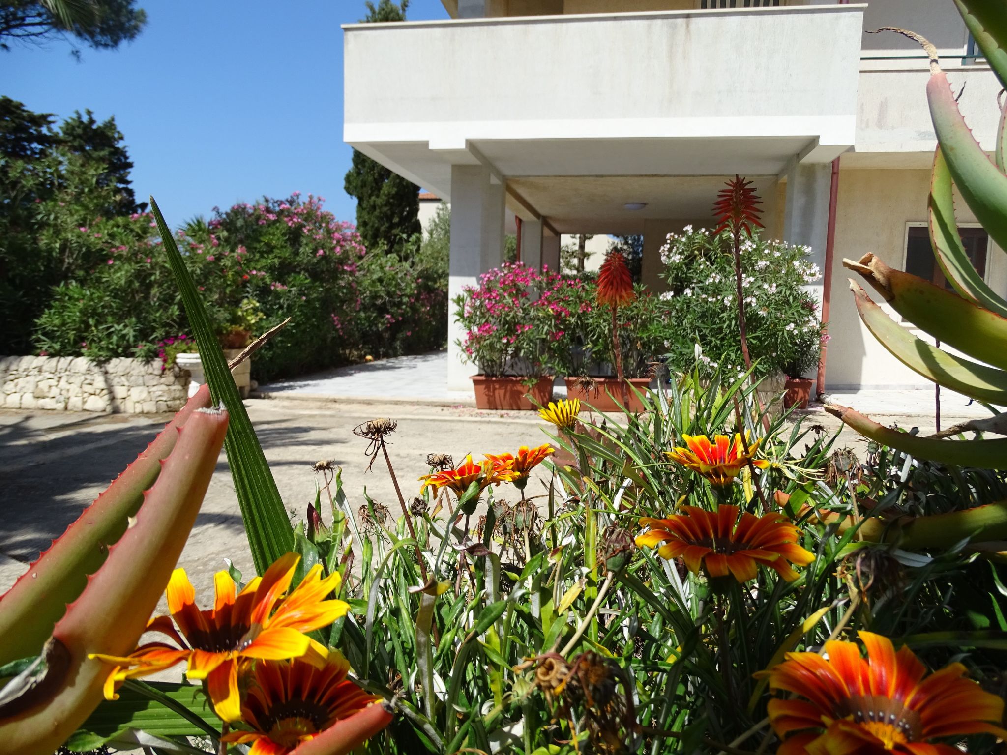 Mit grosser Terrasse direkt am Meer-Binnen