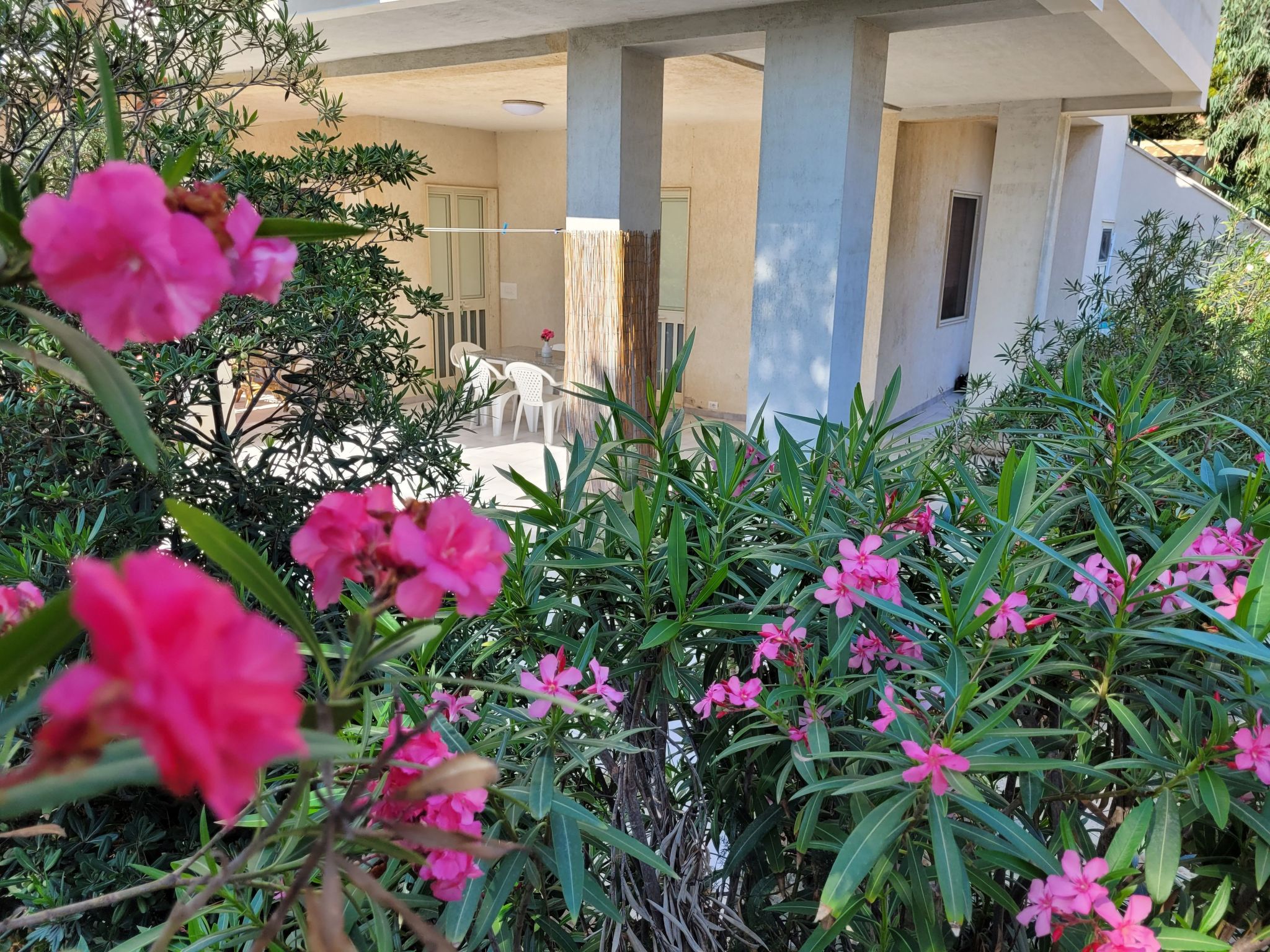 Mit grosser Terrasse direkt am Meer-Binnen