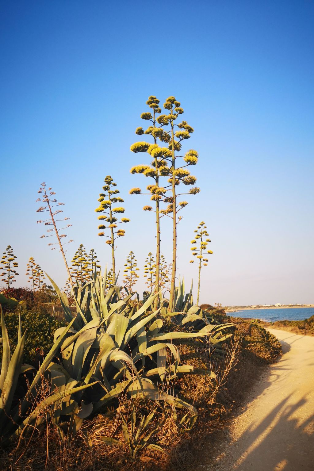 Mit grosser Terrasse direkt am Meer-Binnen