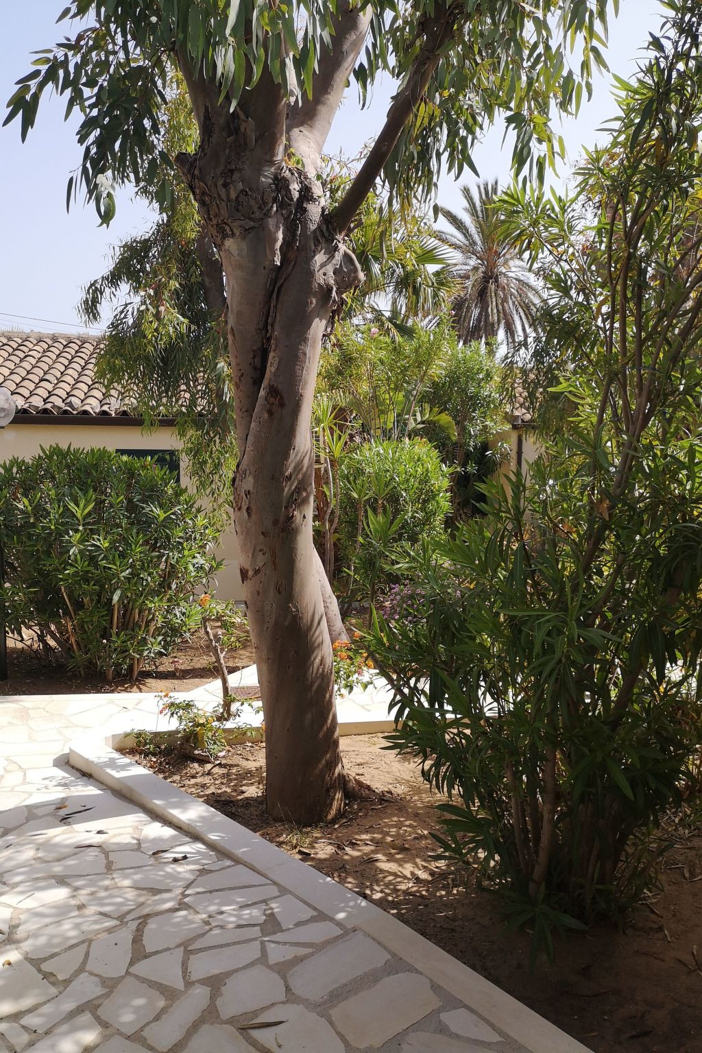 Schöner, neuer und zentraler Bungalow direkt am Sandstrand auf Sizilien-Binnen