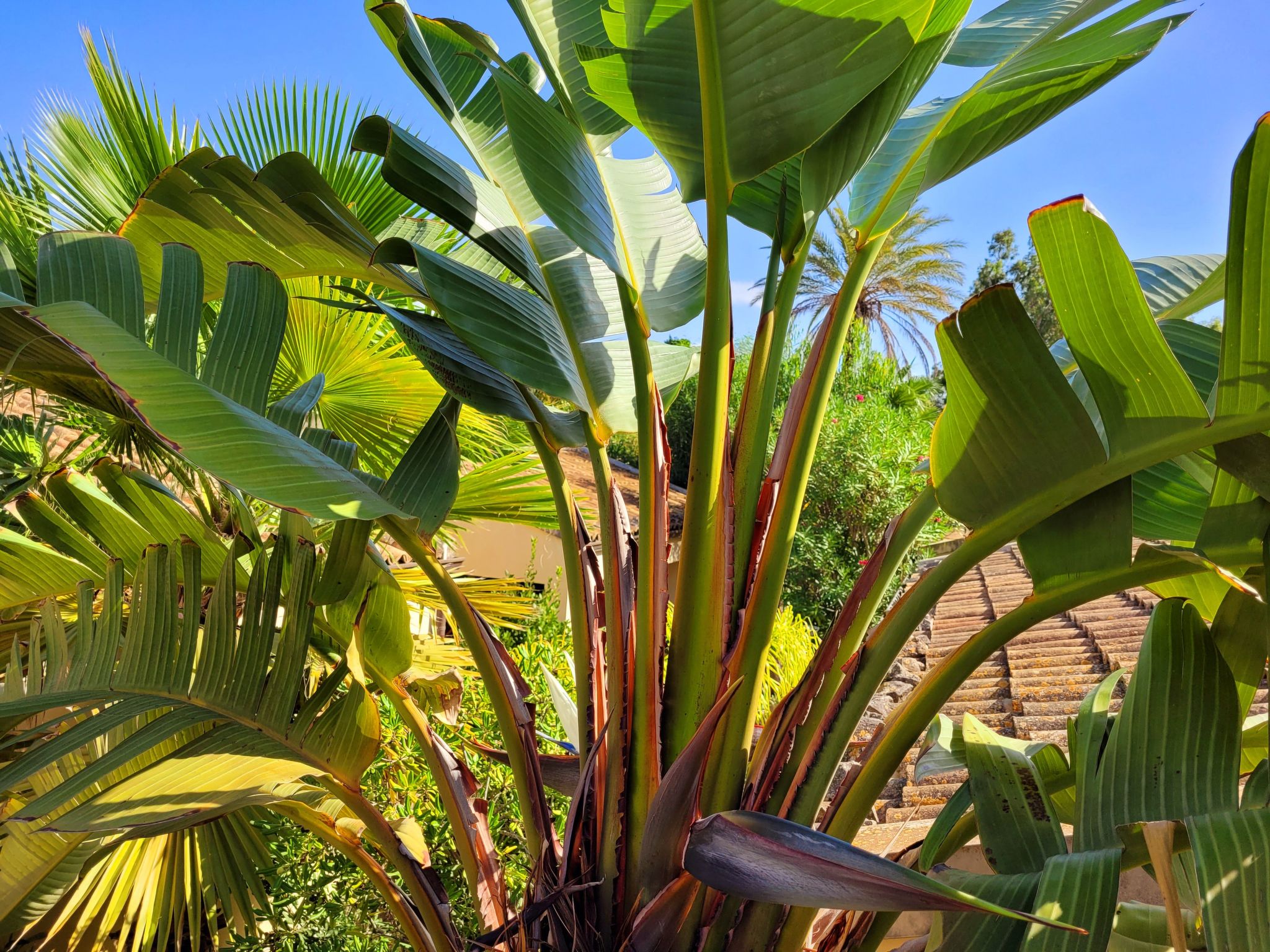 Schöner, neuer und zentraler Bungalow direkt am Sandstrand auf Sizilien-Binnen