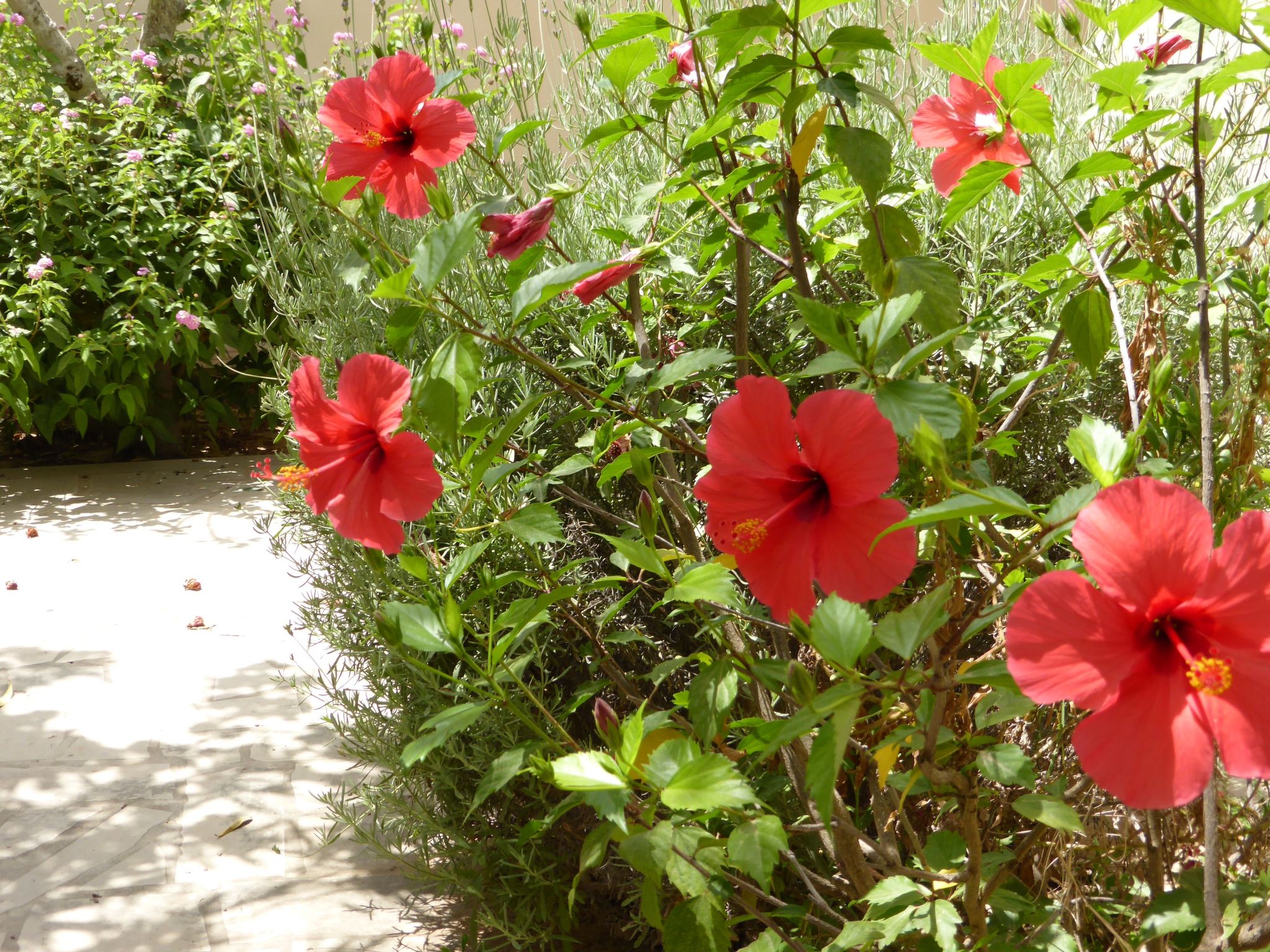 Schöner, neuer und zentraler Bungalow direkt am Sandstrand auf Sizilien-Binnen