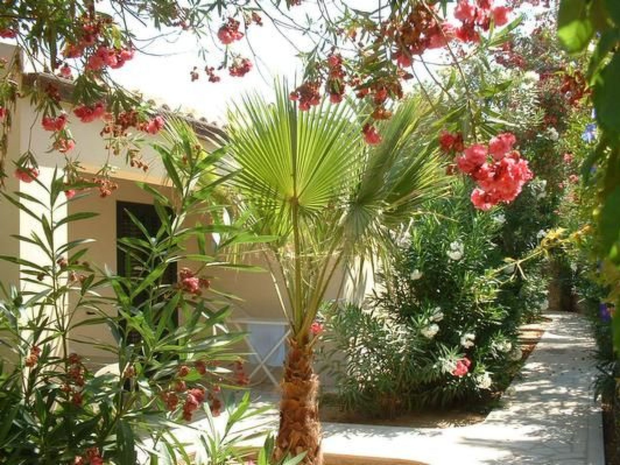 Schöner zentraler Bungalow direkt am Sandstrand auf Sizilien-Dedans