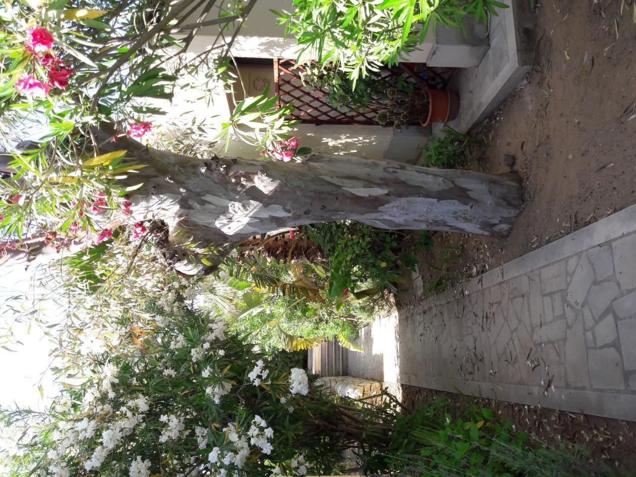 Schöner zentraler Bungalow direkt am Sandstrand auf Sizilien-Dedans