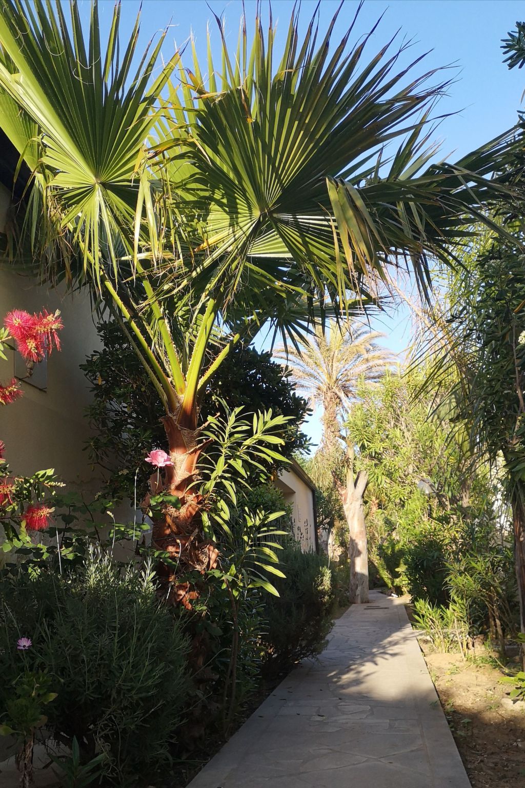 In Marina Di Modica mit Großer Terrasse-Dedans