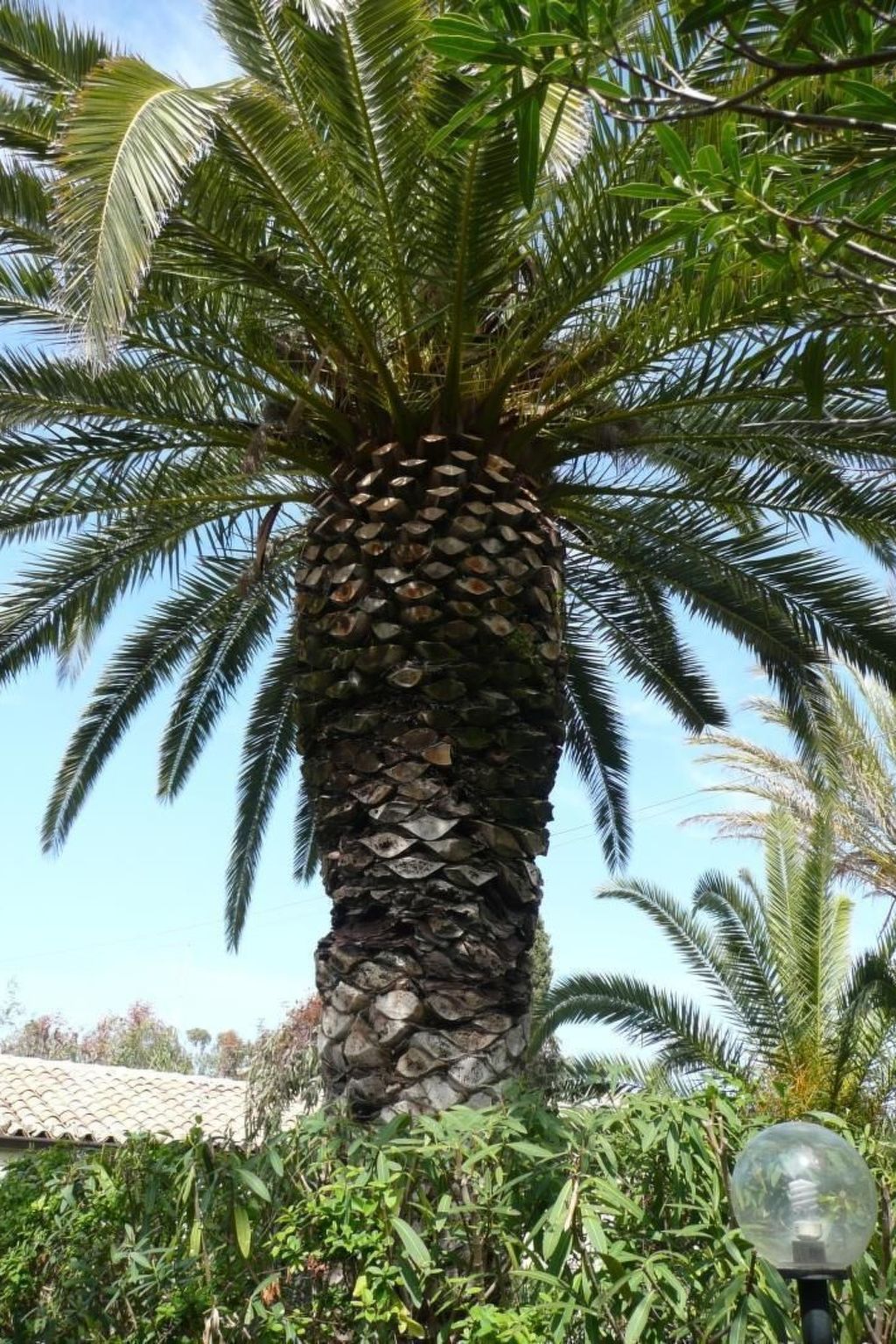 In Marina Di Modica mit Großer Terrasse-Dedans