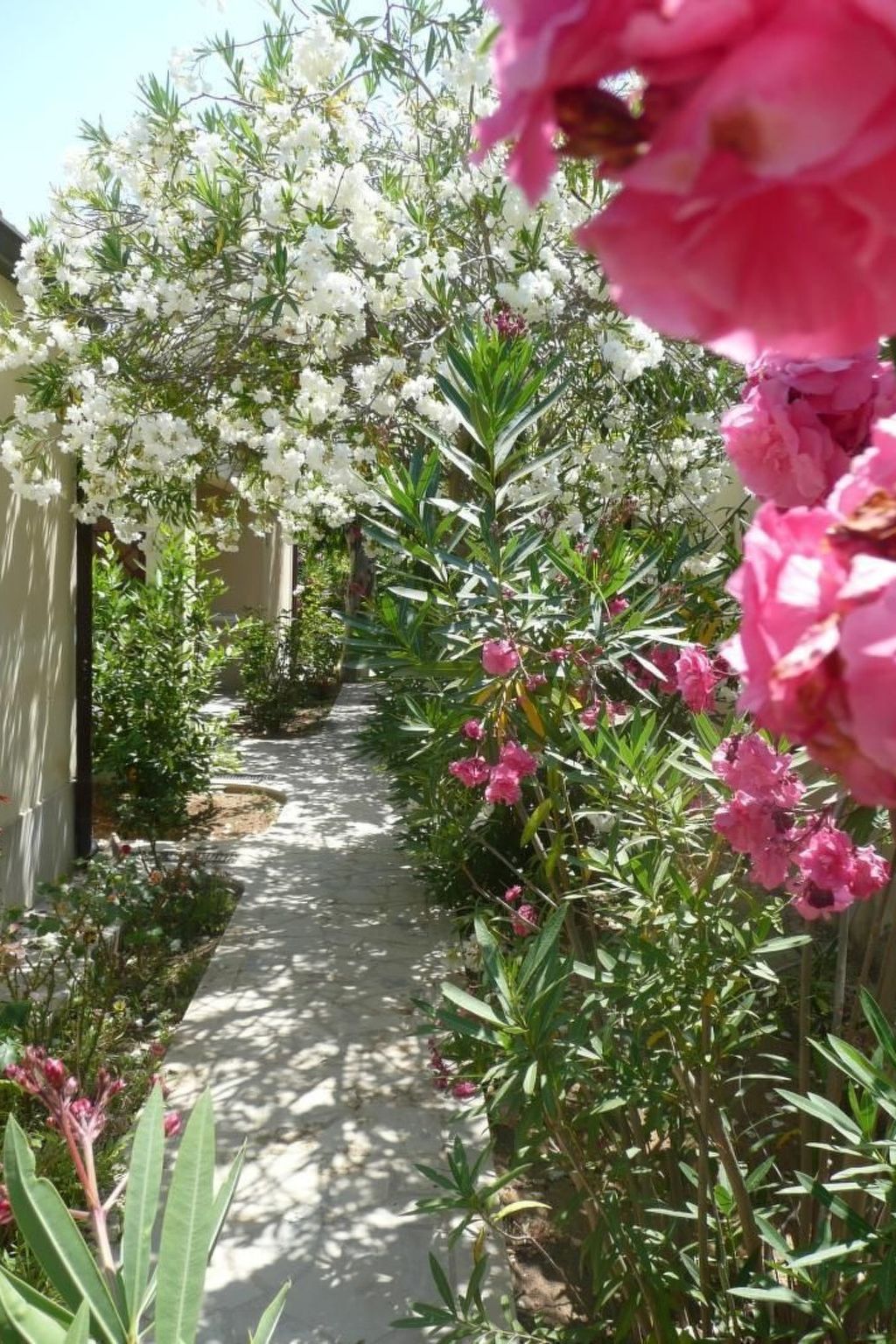 In Marina Di Modica mit Großer Terrasse-Dedans