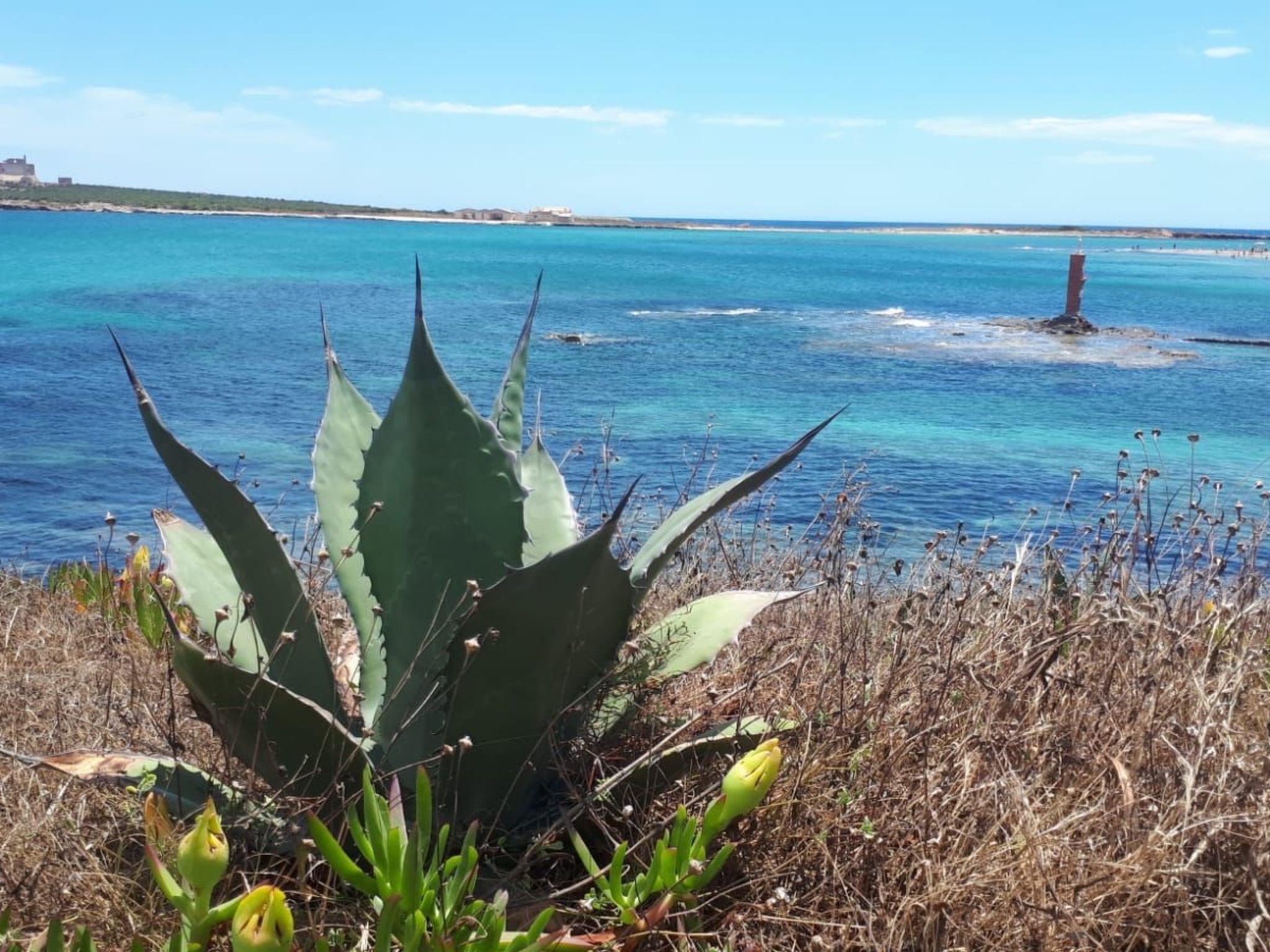 Wohnung mit Wallbox-Image-tags.info