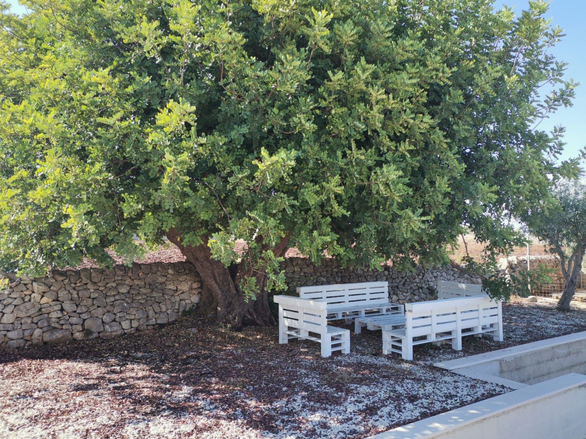 Casa Sbrizza... auf dem Lande, 15 Minuten vom Meer entfernt-Image-tags.info