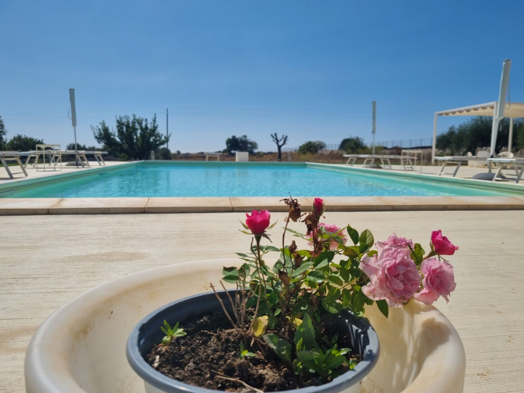 Casa Sbrizza... auf dem Lande, 15 Minuten vom Meer entfernt-Dehors