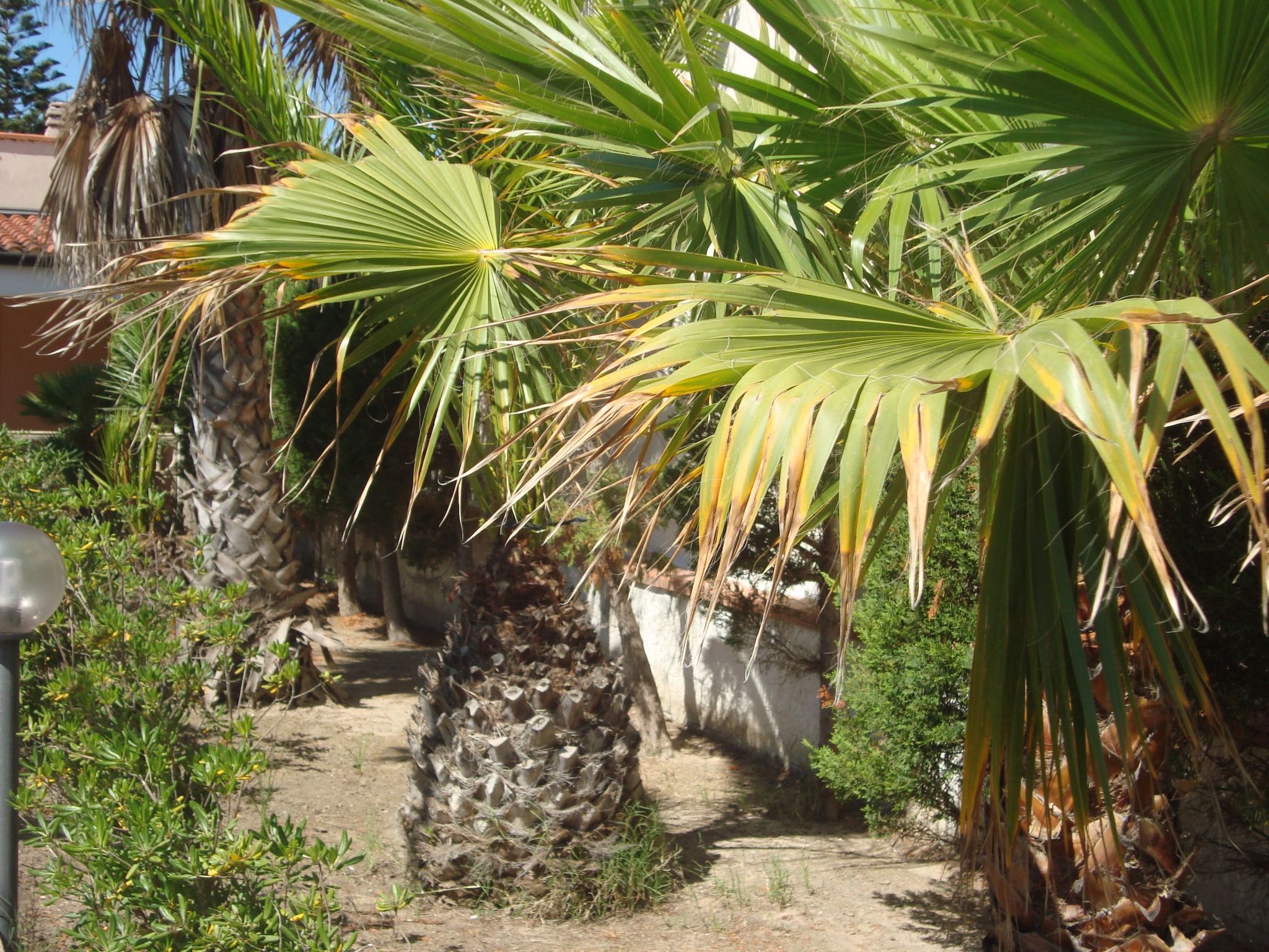 Villa Degli Angeli mit Blick auf das Meer-Binnen
