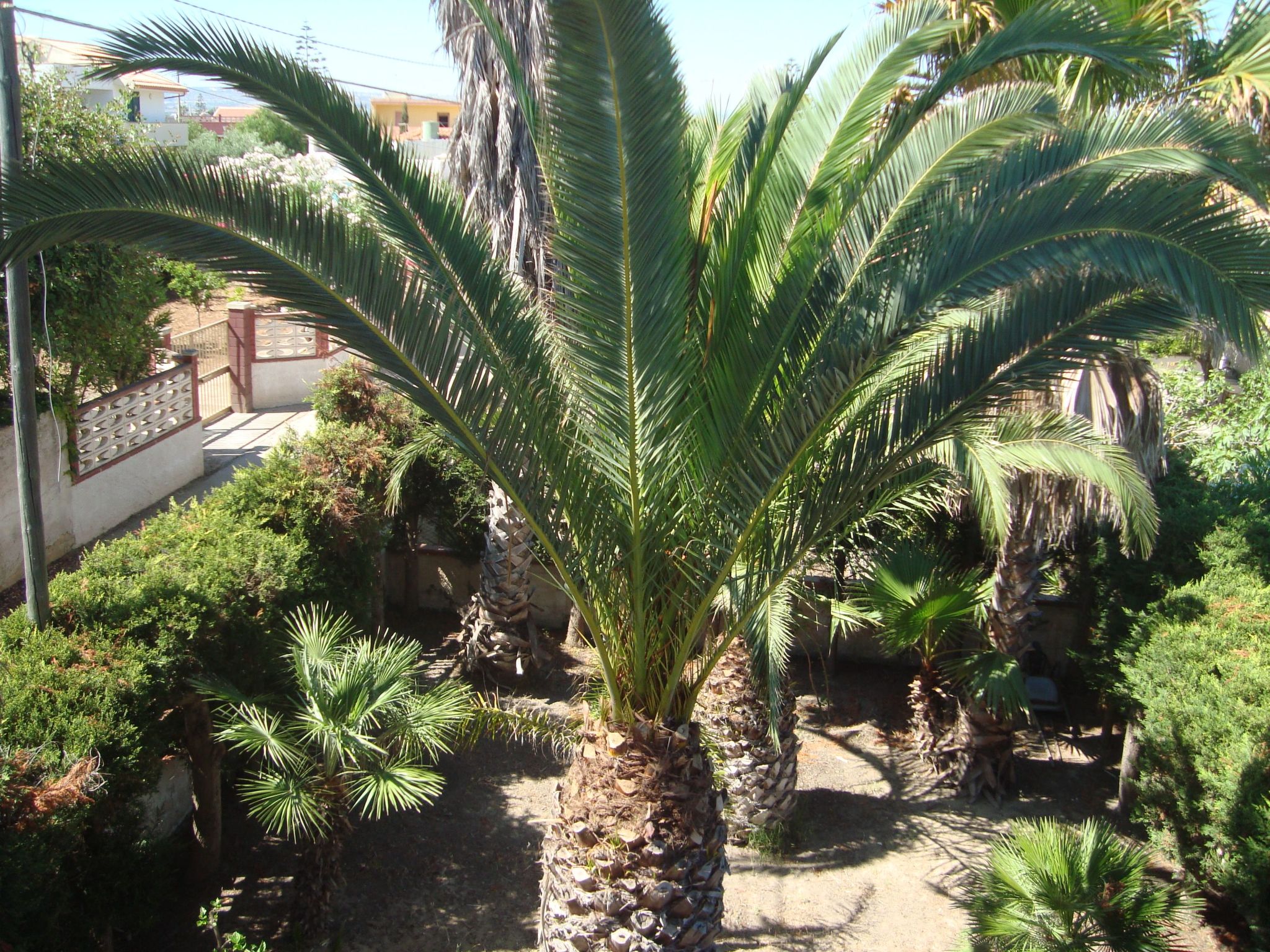 Villa Degli Angeli mit Blick auf das Meer-Binnen