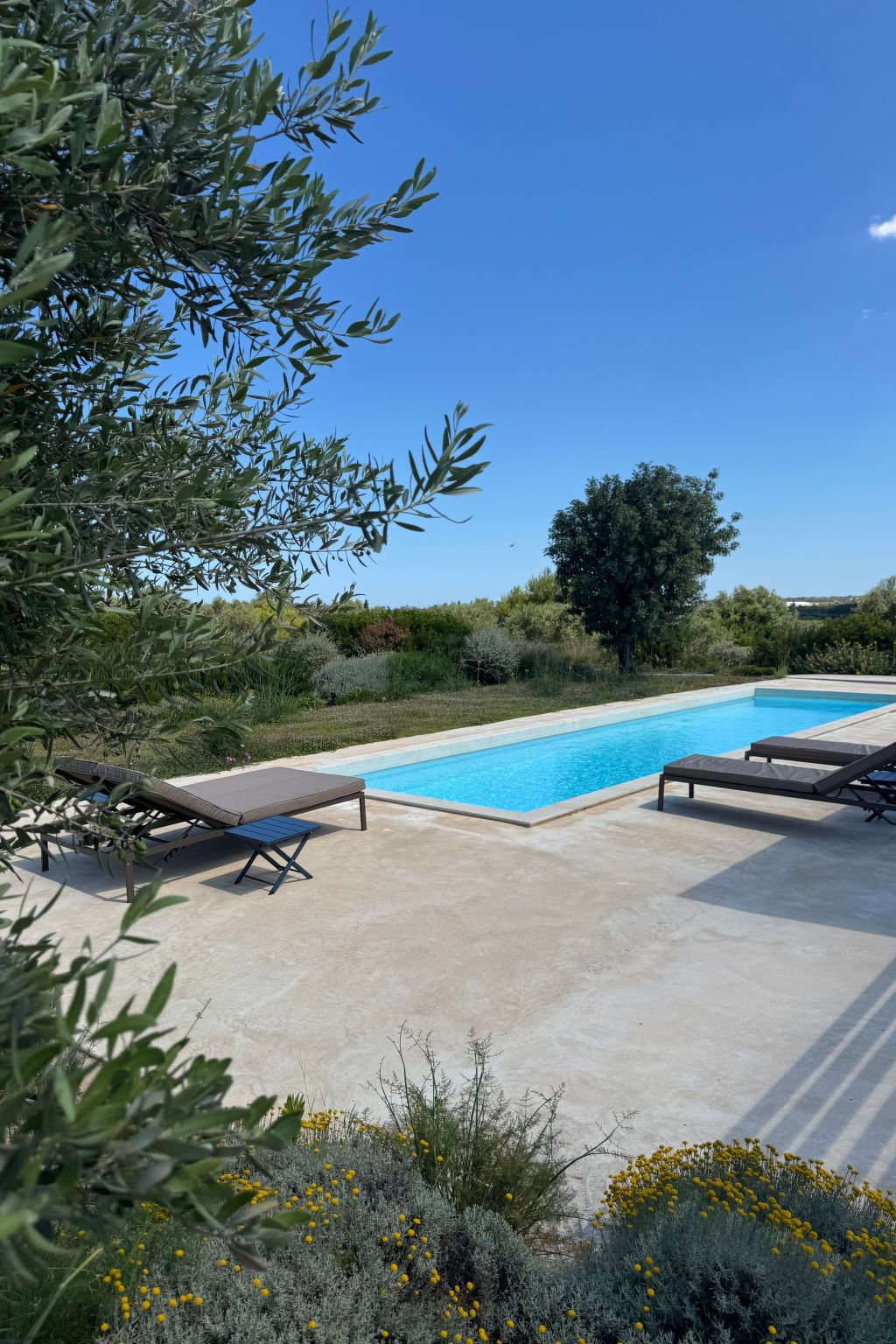 SkyDream Vendicari".-Dedans