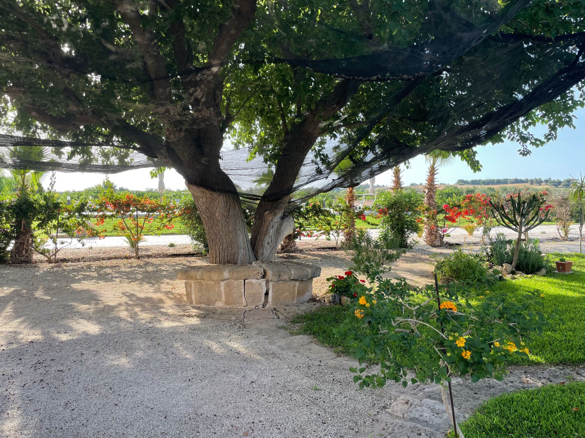 In Noto mit Terrasse, Garten und gemeinsamem Pool-Image-tags.info