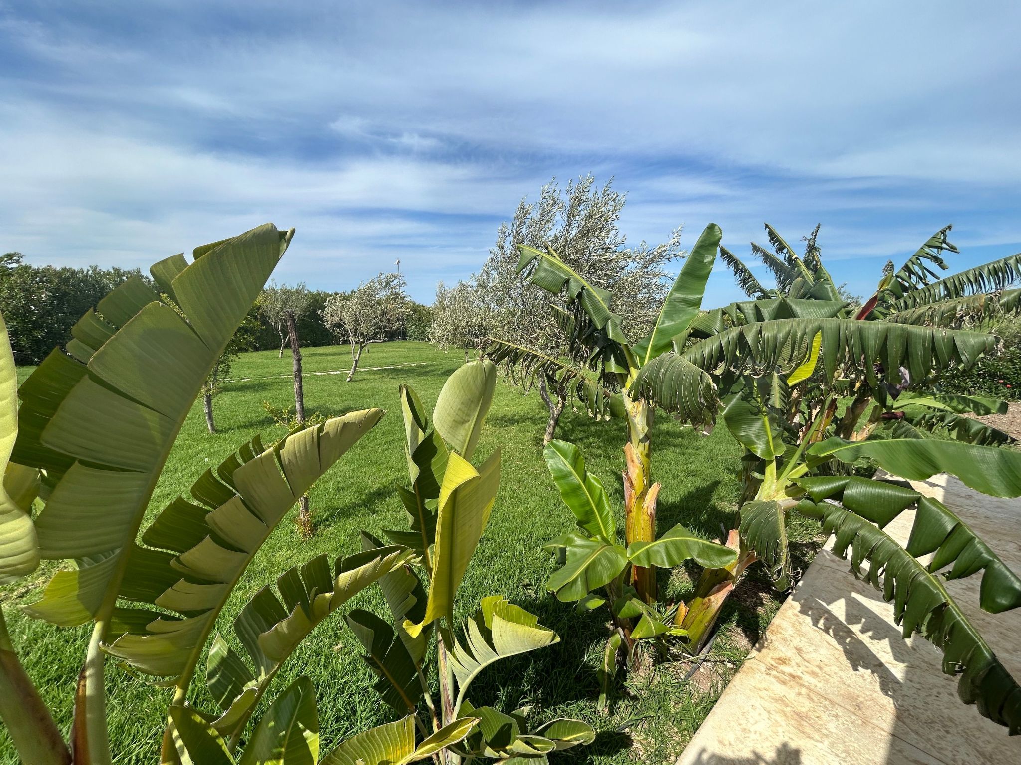 Il Gelso e l'Ulivo Wohnung mit Schwimmbad-Image-tags.info