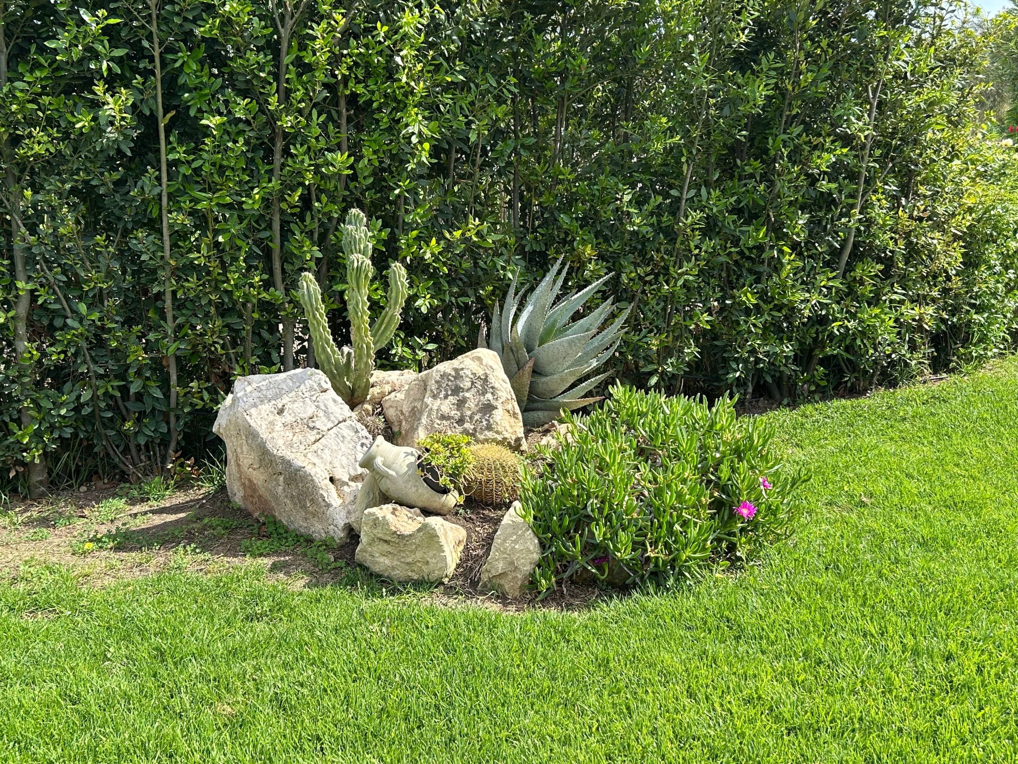 Il Gelso e l'Ulivo Wohnung mit Schwimmbad-Image-tags.info